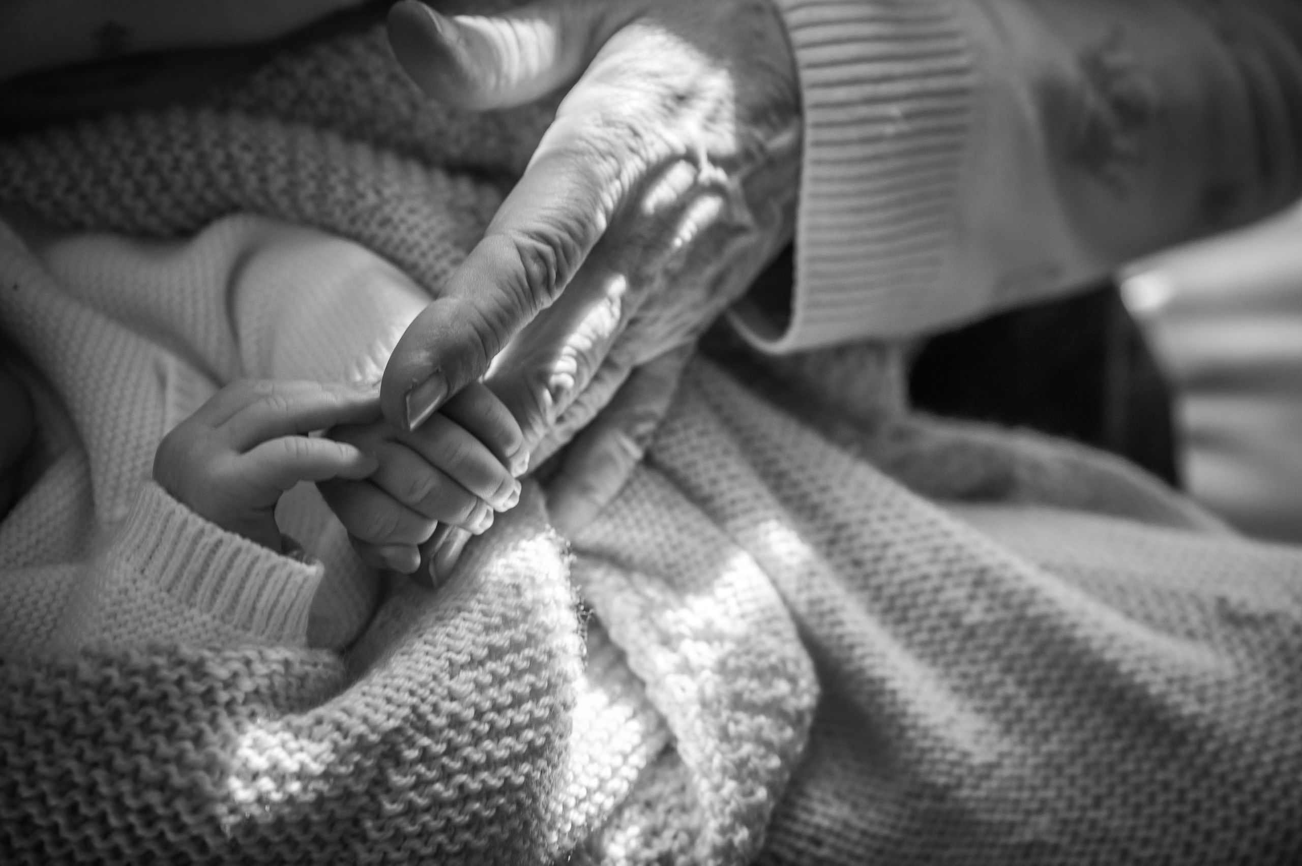 Sebastian. Victoria Lyubchenko — fine art photography in Bismarck, ND