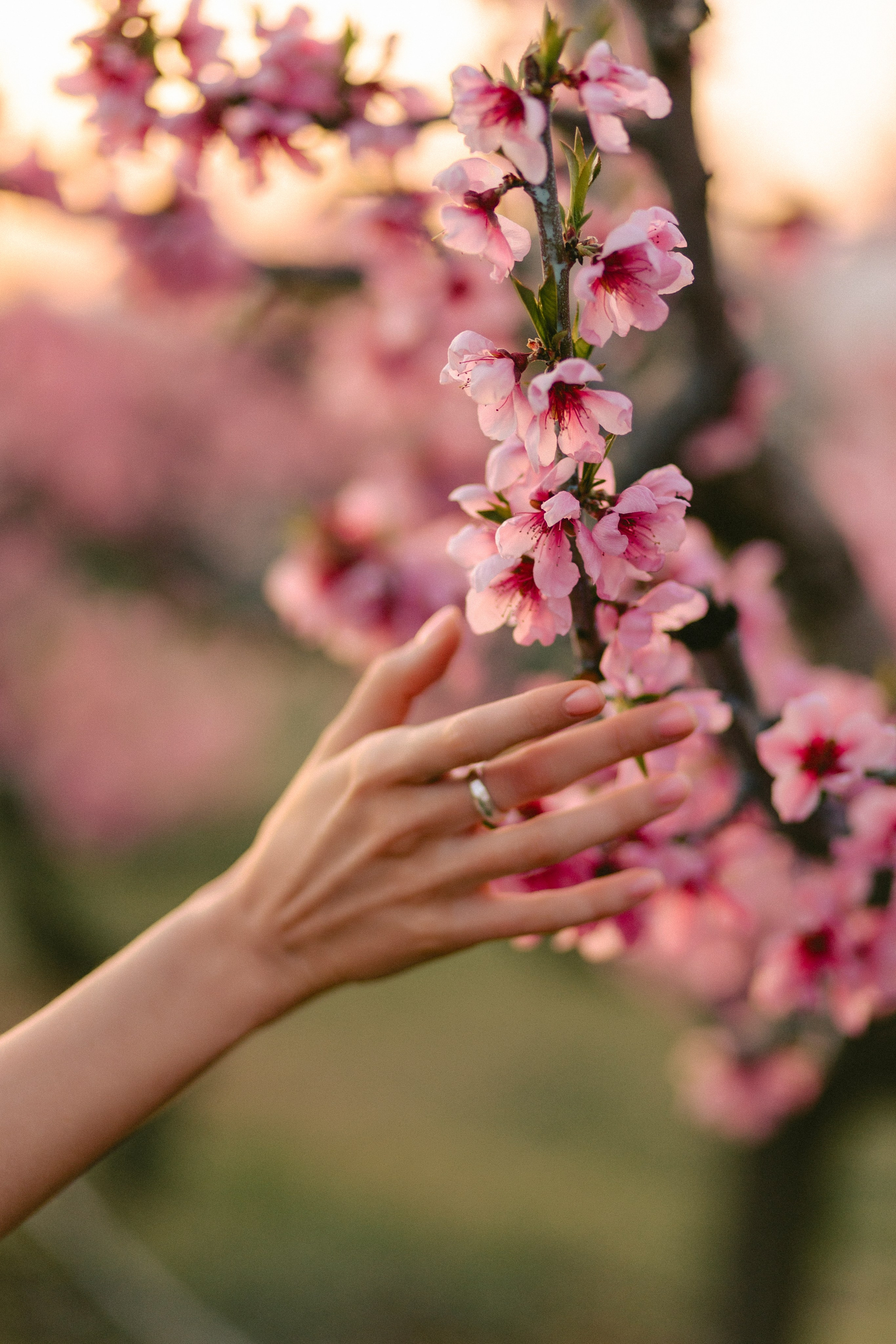 Evgenia. Photographer Anna Nazarenko