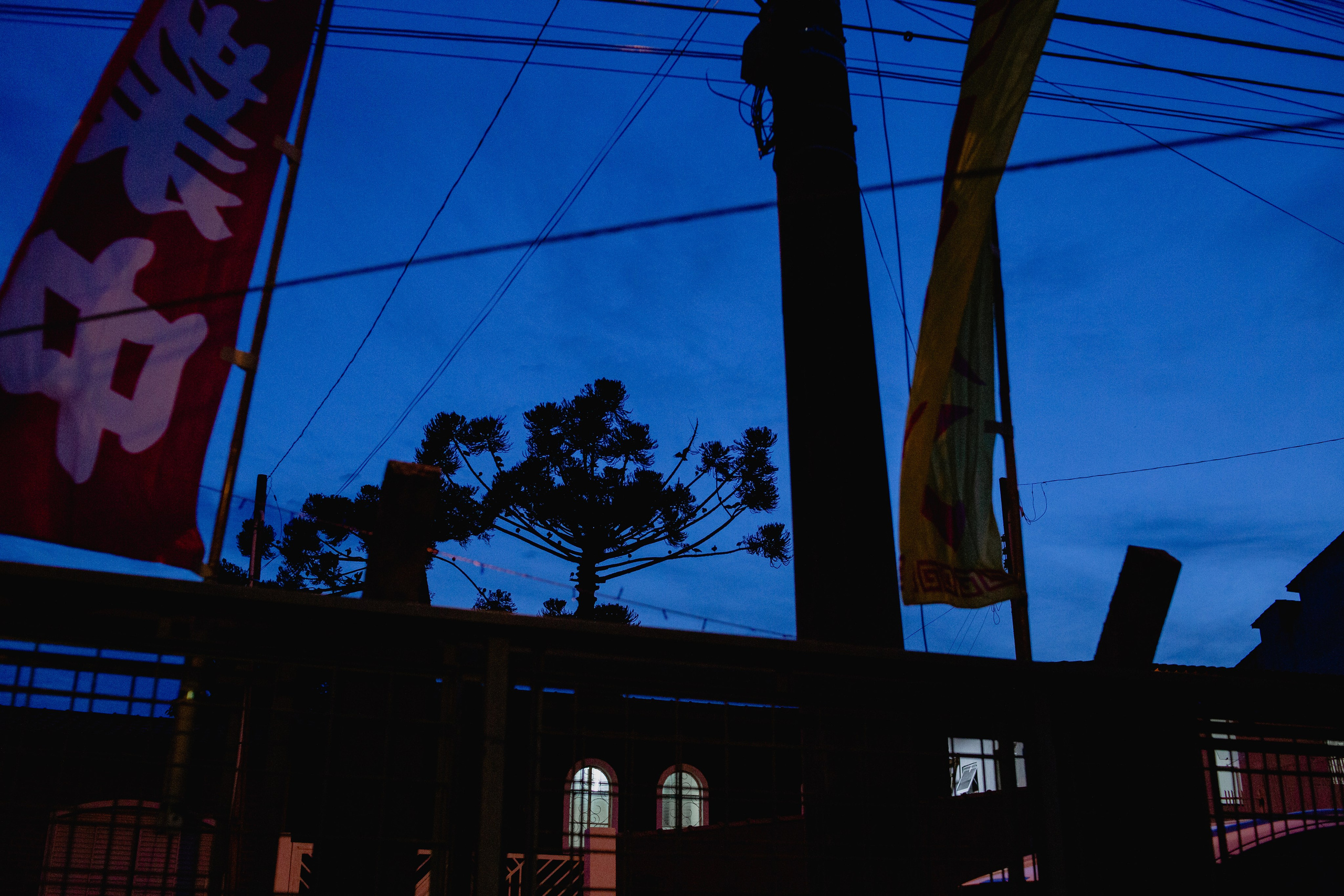 Documental Família Shimizu