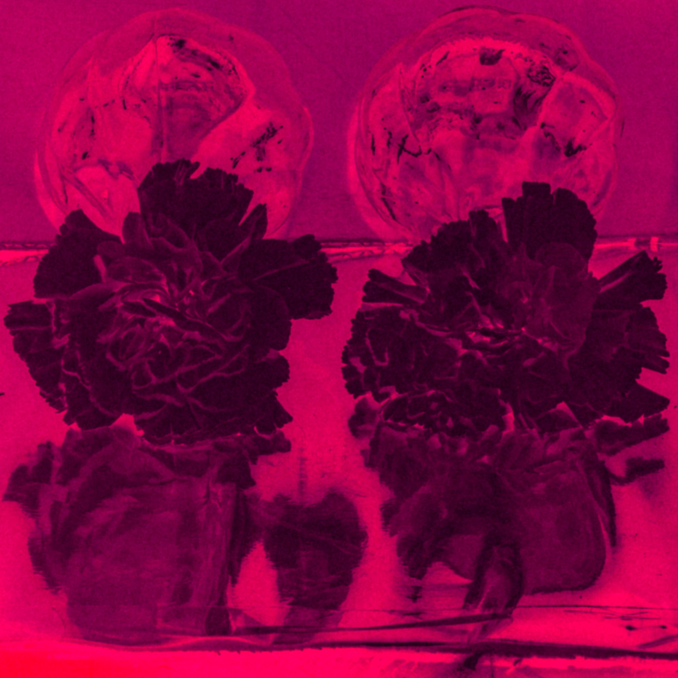 Still life. Ekaterina Tsurkina-Appina Photography Canada