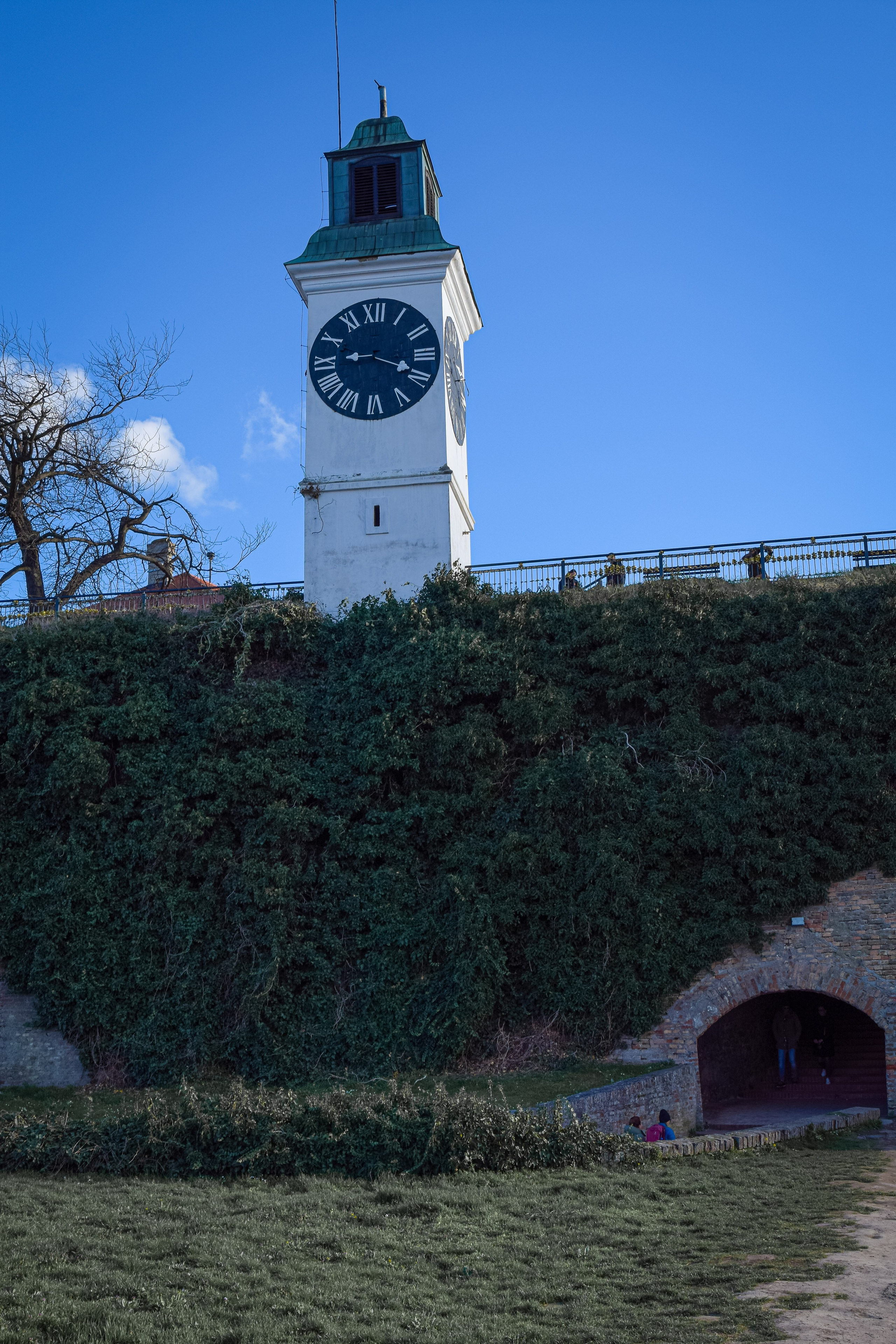 Петроварадин - галерија на продају. Викторија Федосеенко, фотограф у Србији