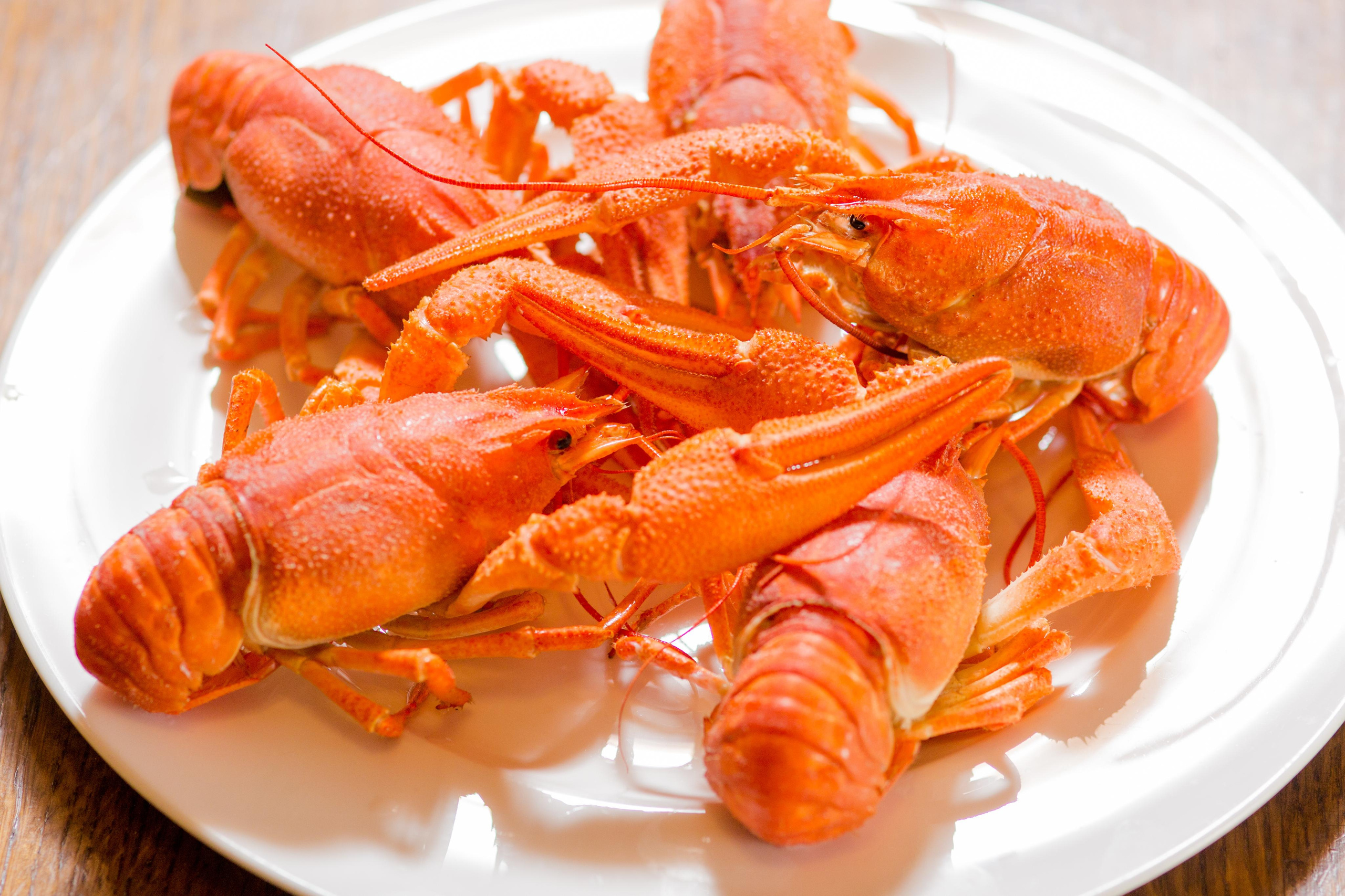 Foto für die Speisekarte - Fotograf Michael Baron. Fotograf in Deutschland - Michael Baron