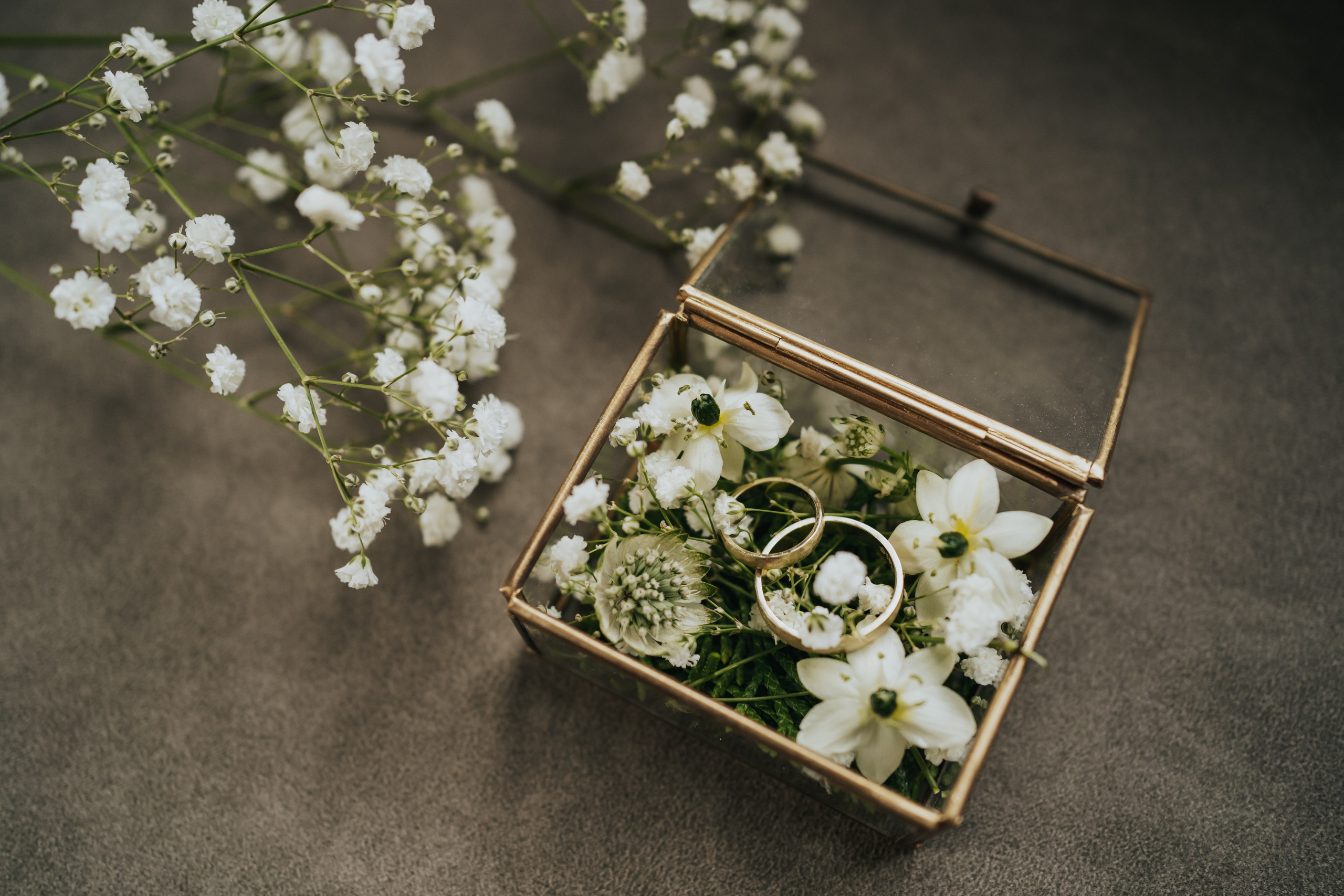 T & I. Fotograf Nunta Iasi - Hearts & Pictures