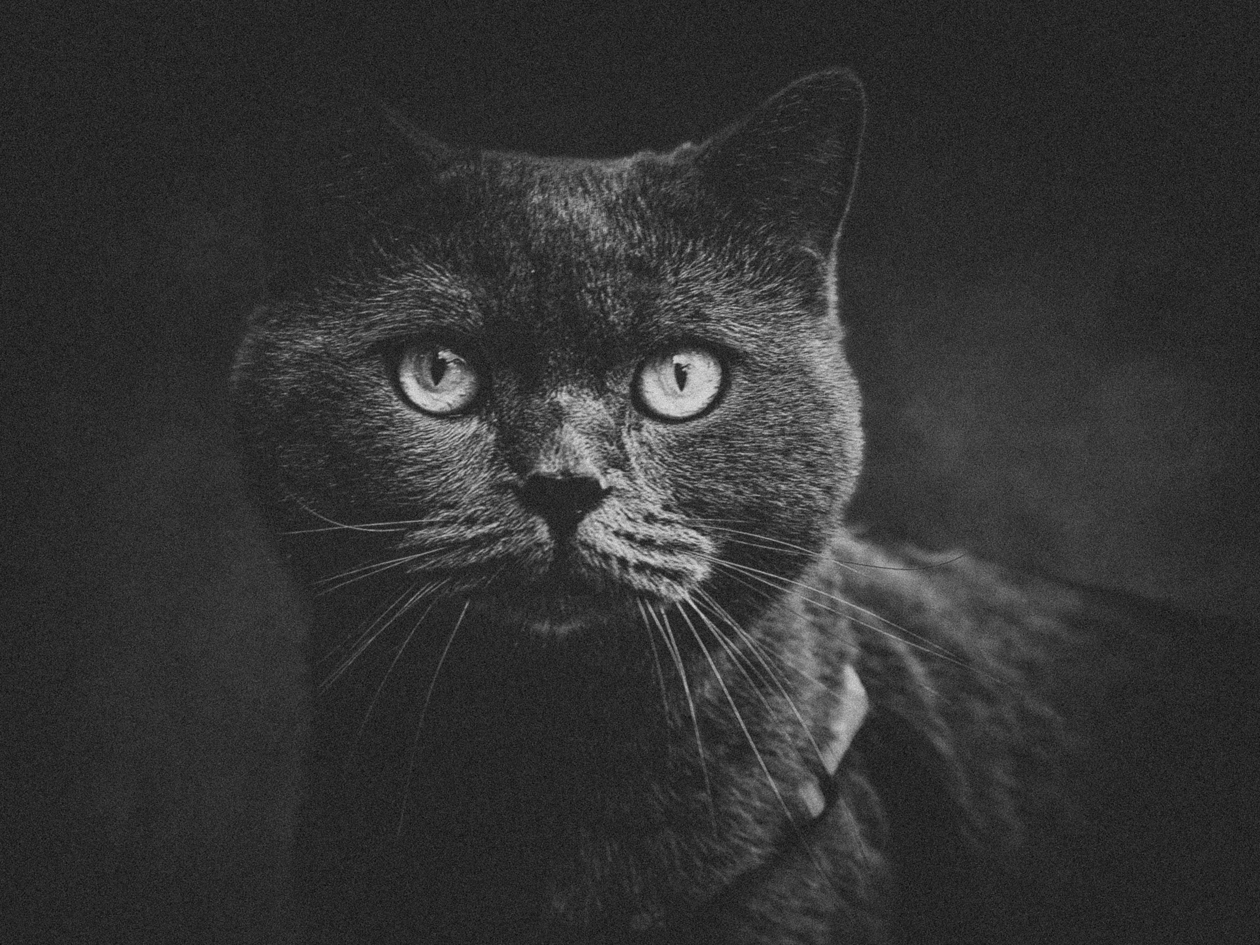 Portret bebeluș la botez realizat de Mitroi Iulian