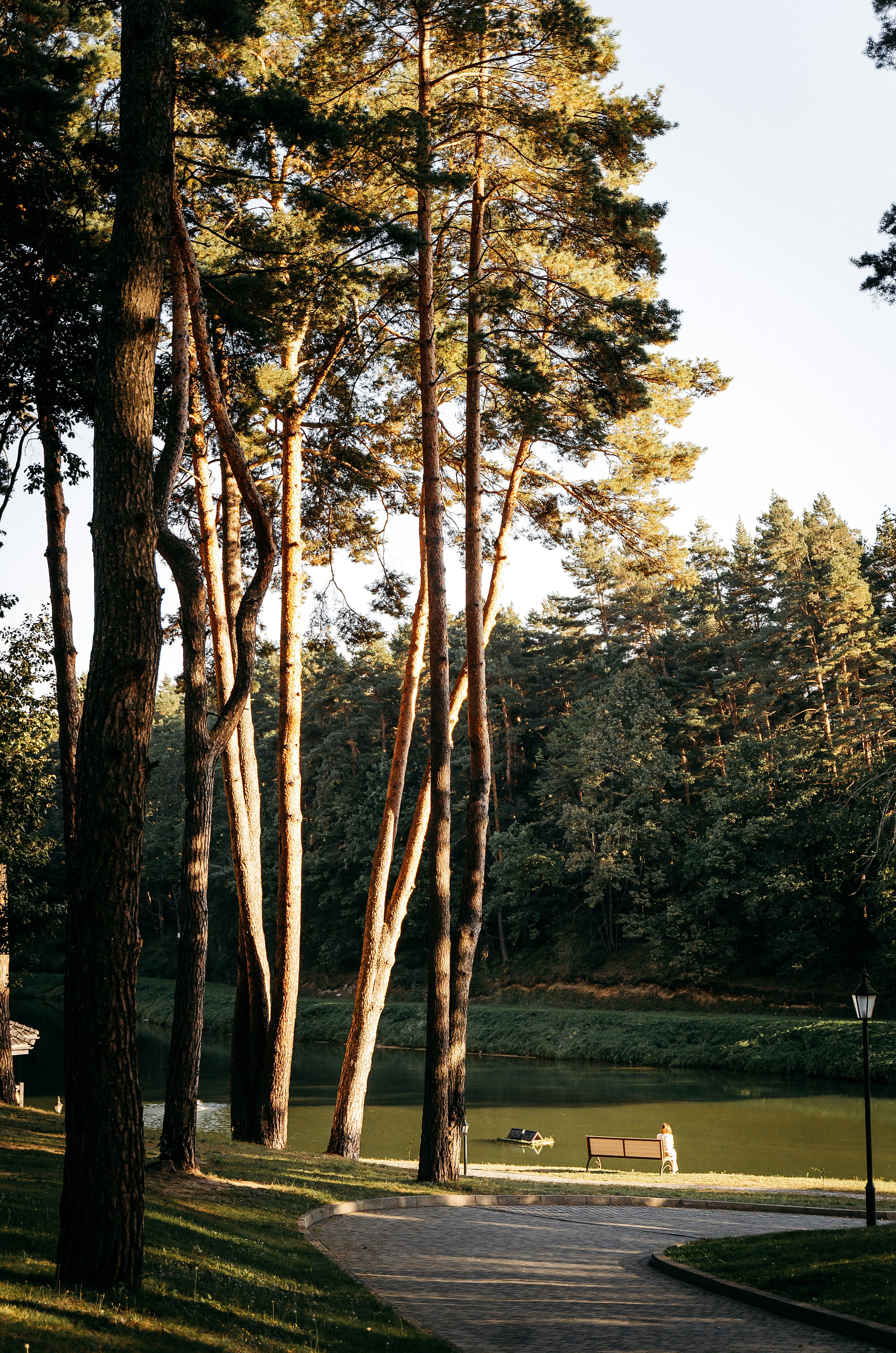 Олександр & Галина. Весільний та портретний фотограф Кизим Арсен