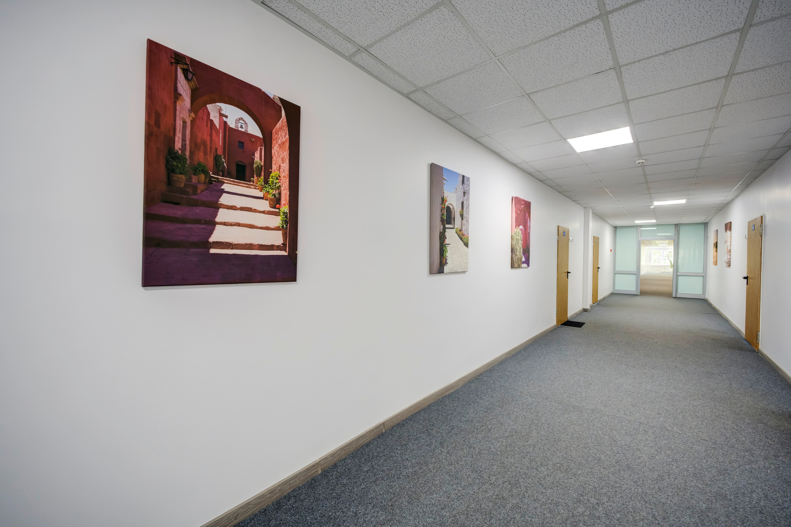 Saltoniškių g. 31. Elina Sapiega fotografė Vilniuje