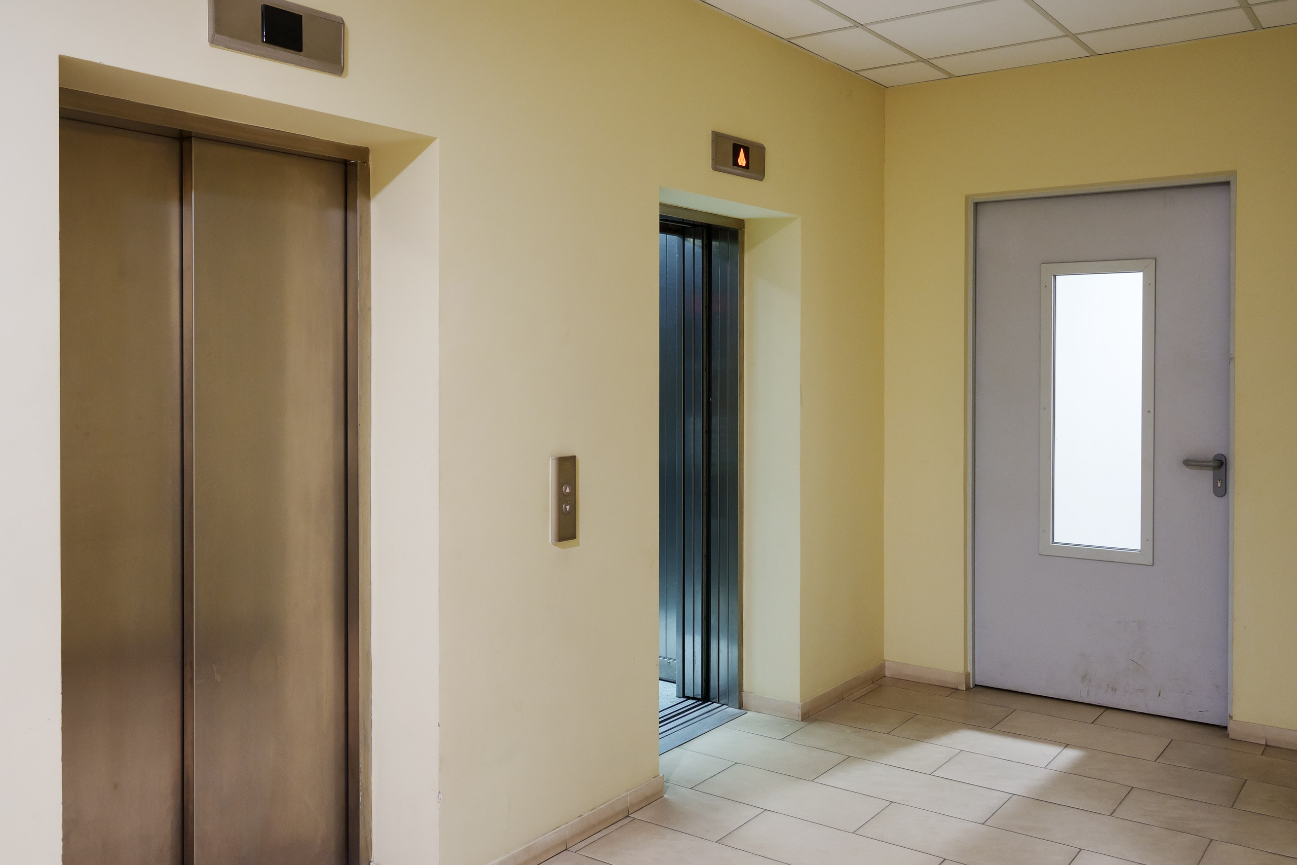 Savanorių g. 1. Elina Sapiega fotografė Vilniuje