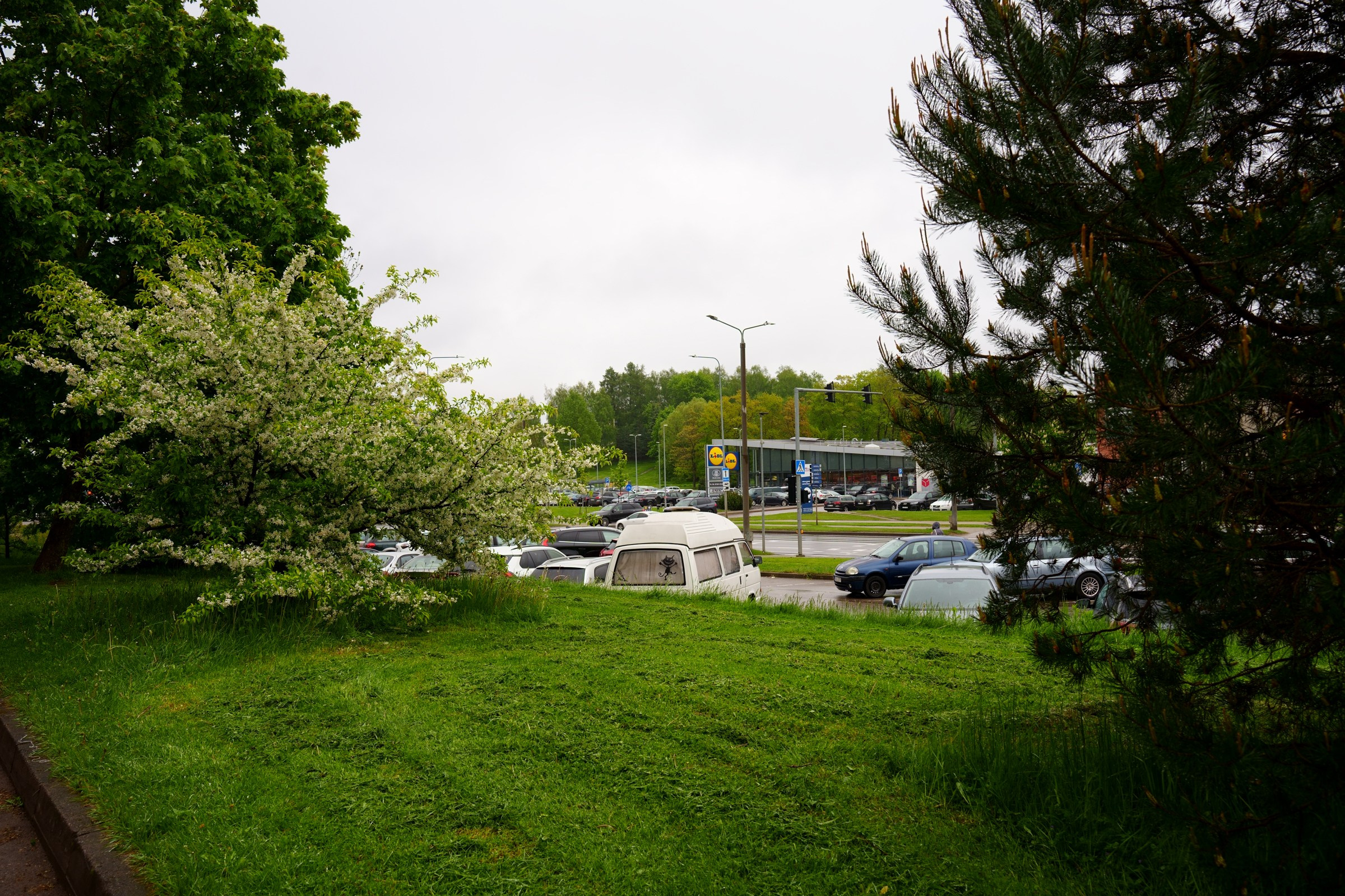 Ateities g. 1. Elina Sapiega fotografė Vilniuje