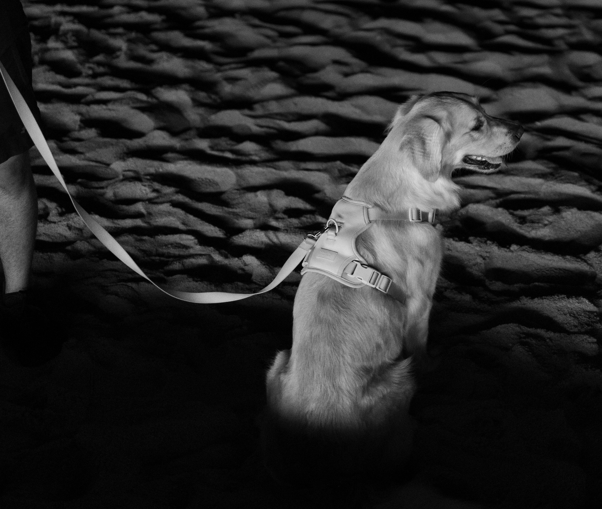 Art Basel 2025 Faena Miami. Out and About 239