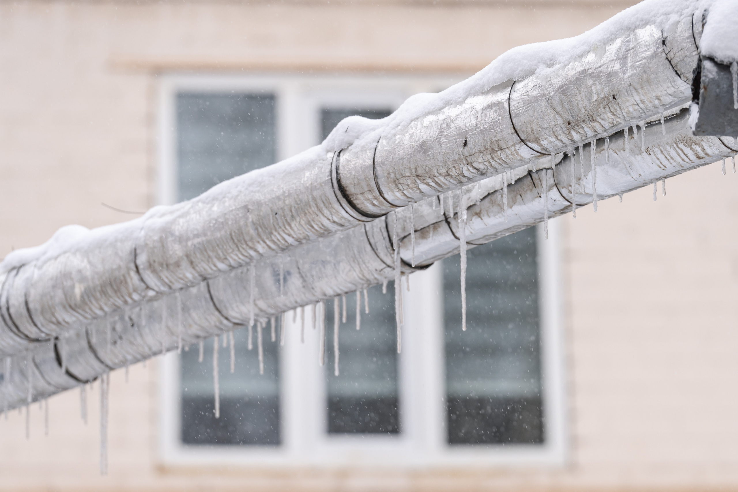 Снег. Георгий Намазов | Фотограф в Ташкенте