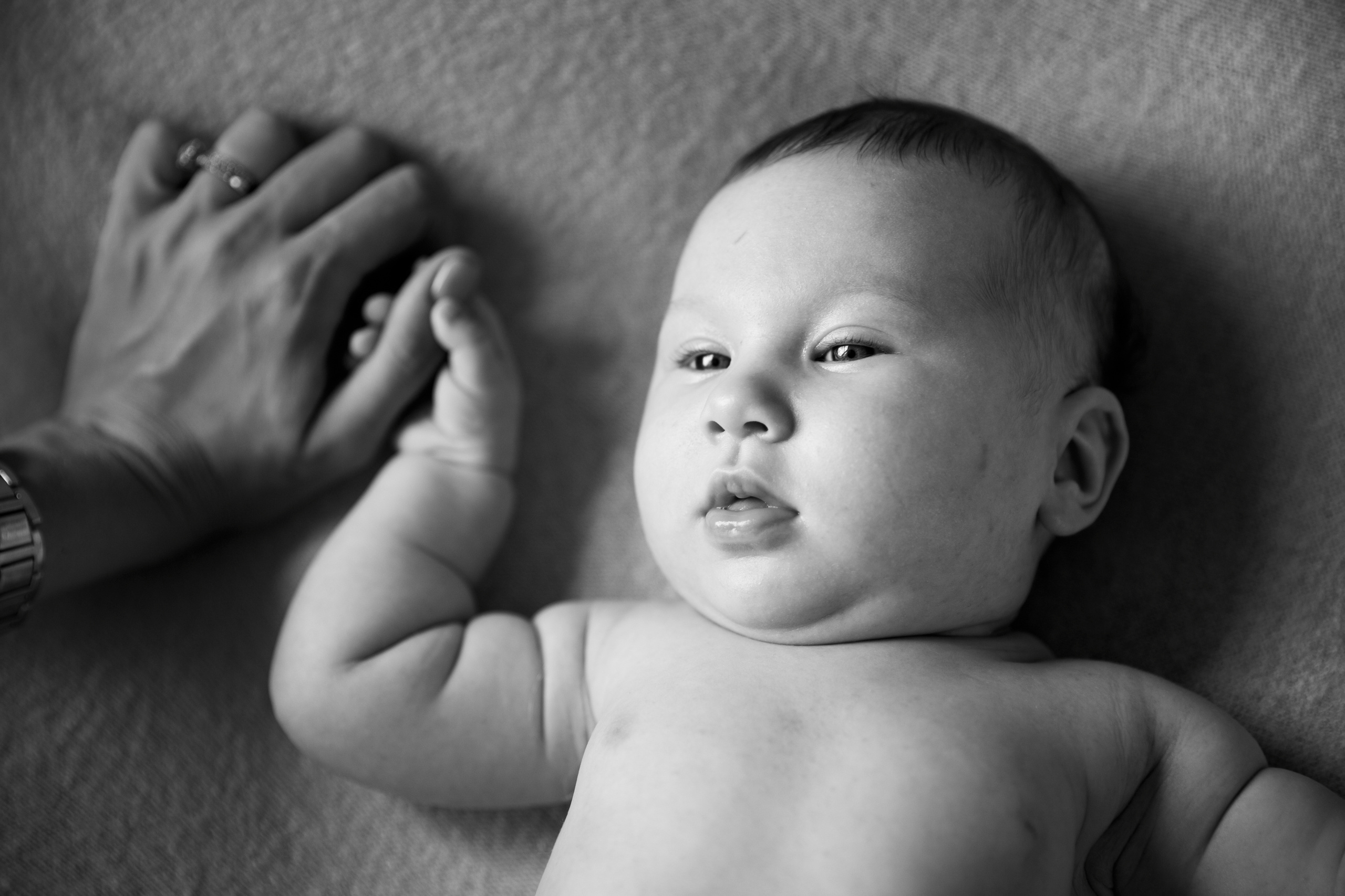 NEWBORN. Professional Photography in Austin, TX — Family, Newborn, Maternity