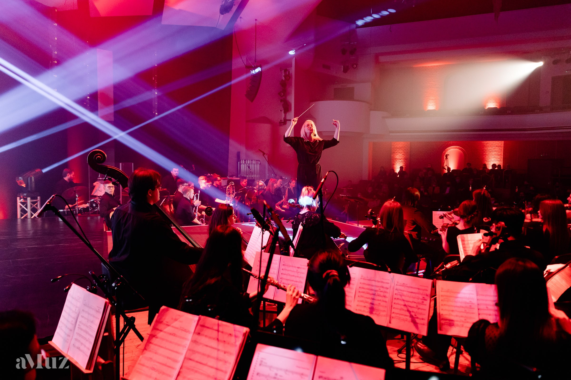 Koncert Amuz.pl. Fotograf Ślubny Warszawa - Sesje Biznesowe Rodzinne Eventy