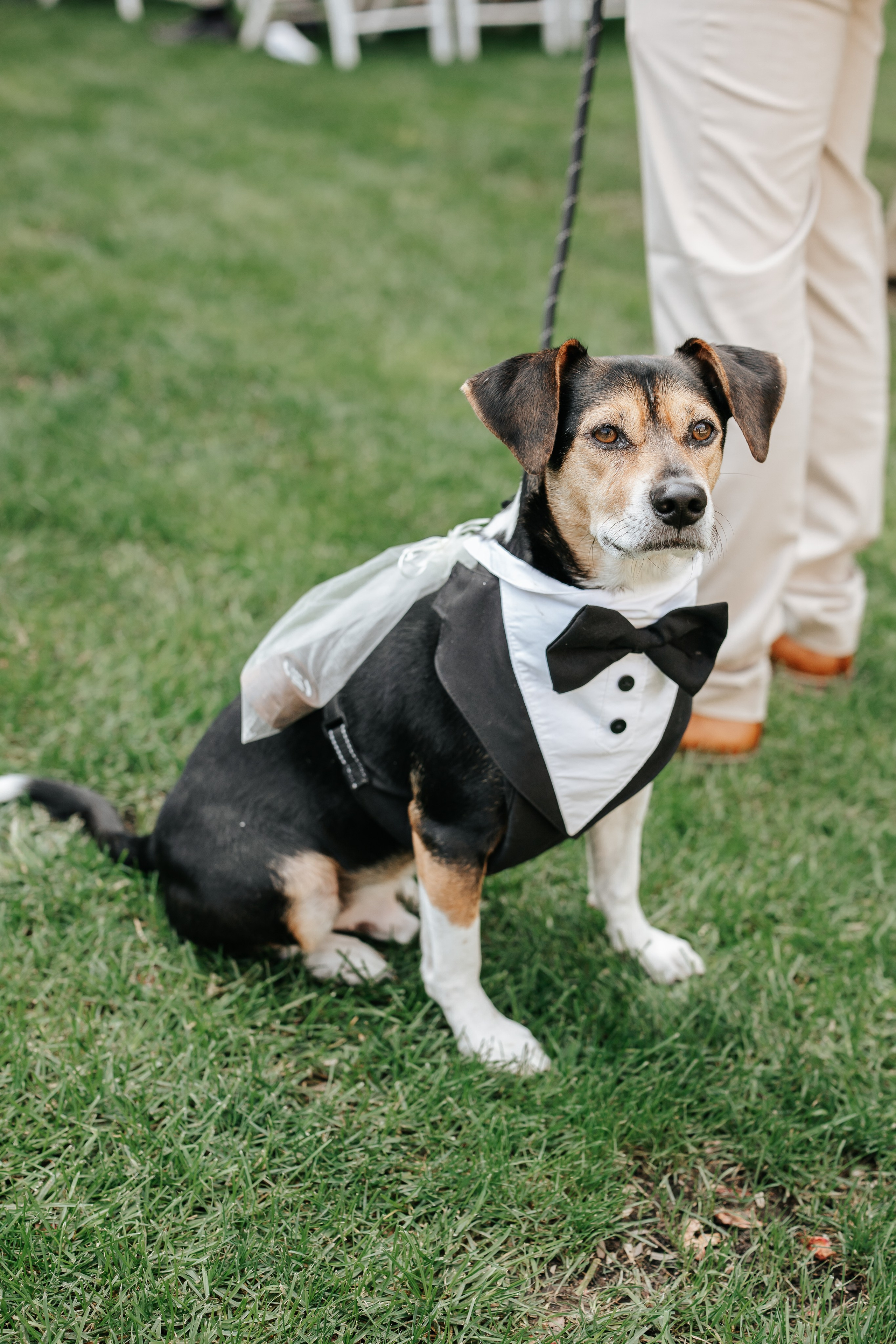 Marta+Adria, 27.09.2025, Can Caballe. Wedding photographer in Catalonia