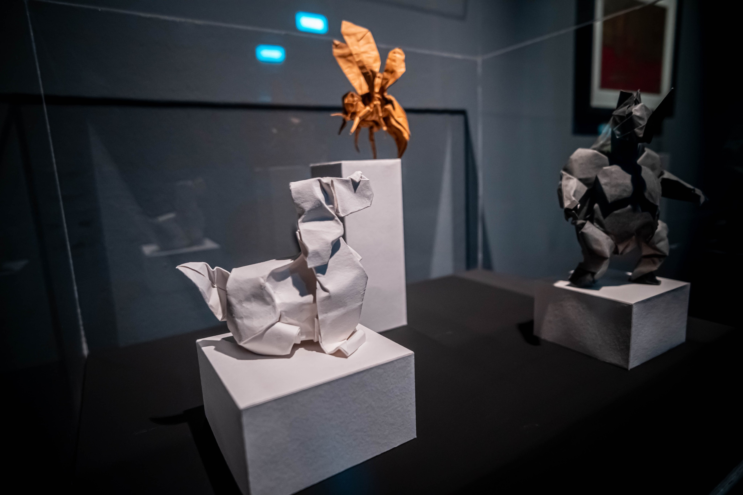 Museo de origami, Zaragoza. Alba del Norte Studio