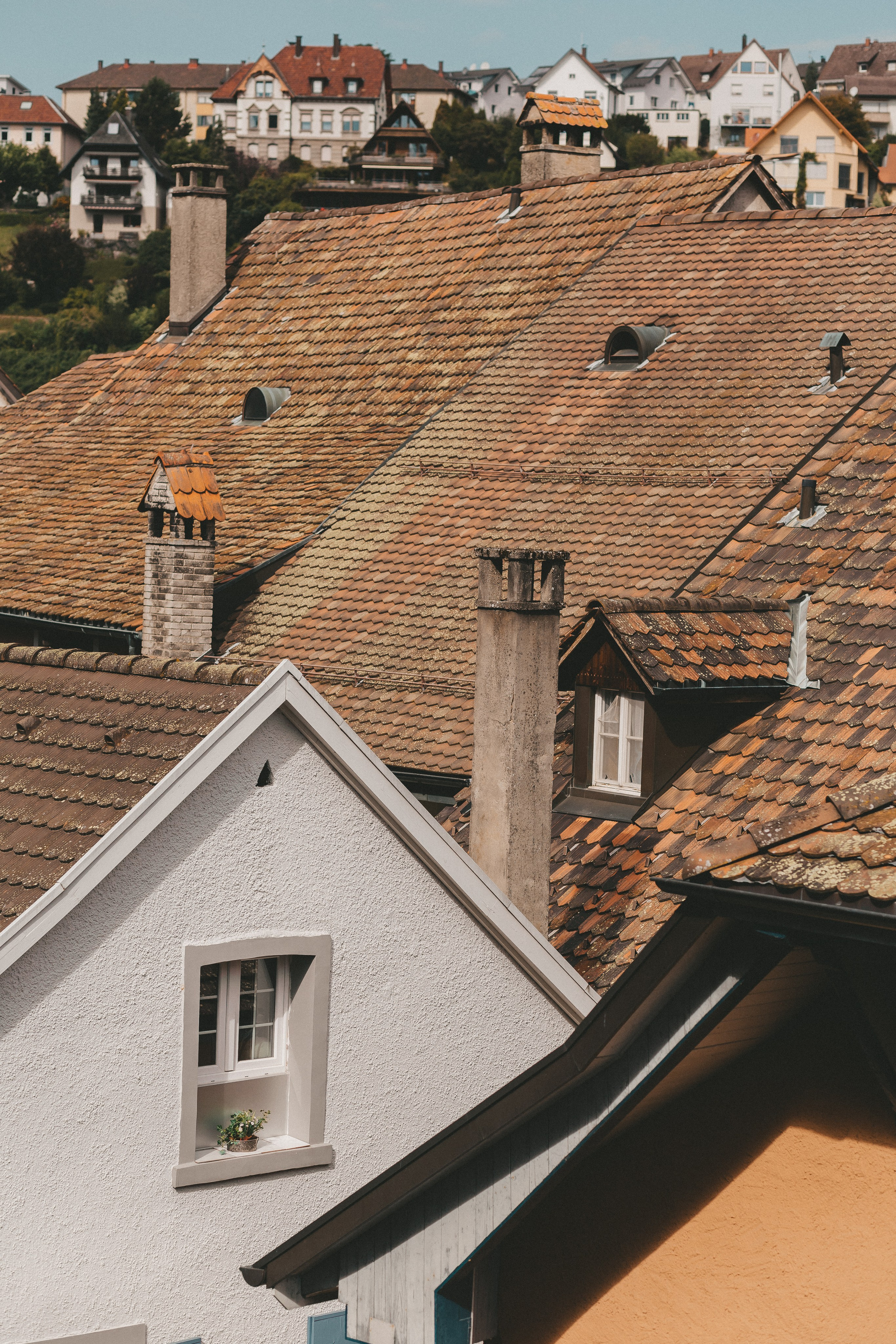 Лауфенбург: две страны — один город. Фотограф в Германии — Мария Чистякова