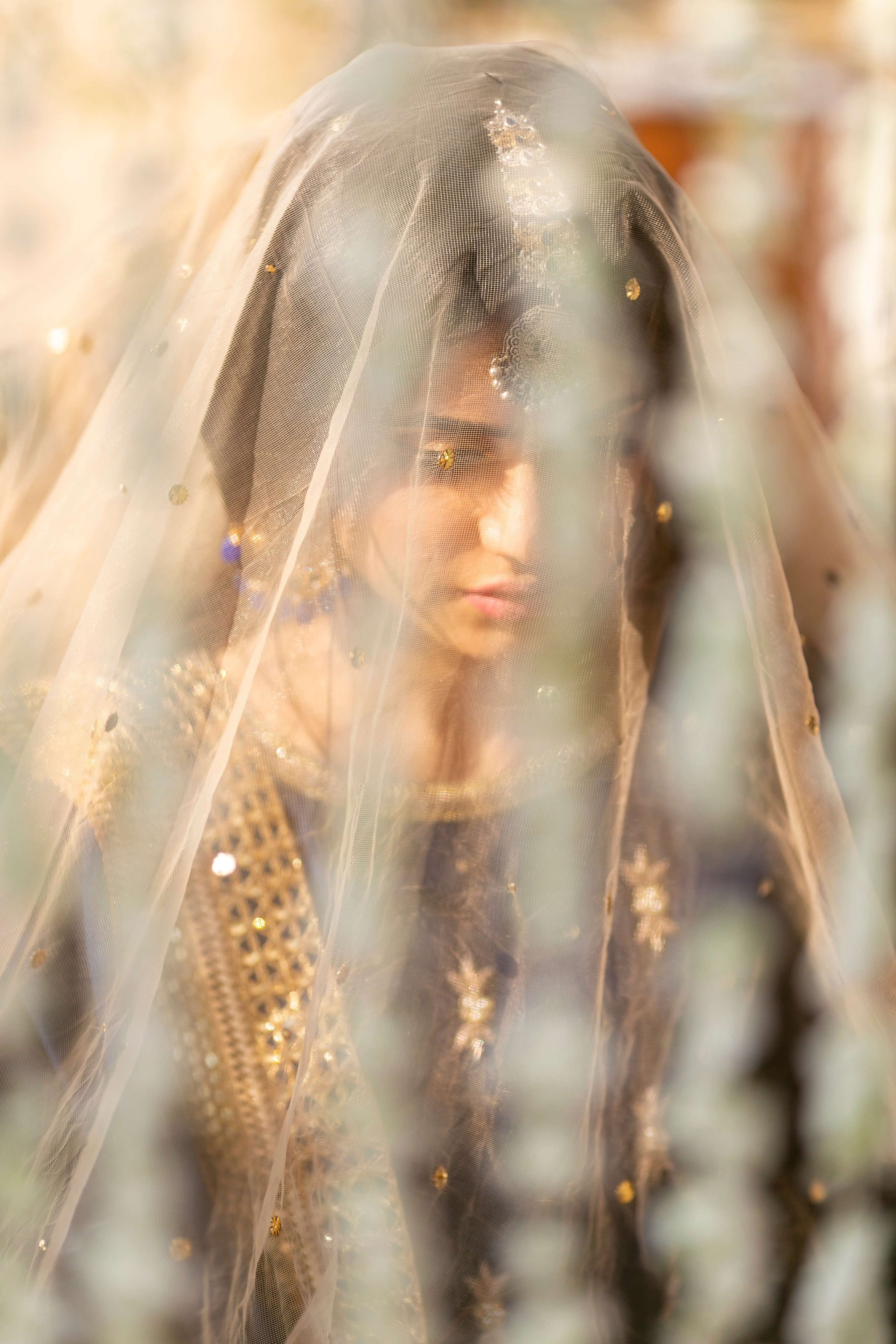 Portfolio. Chaar Bhai — Your Personal Family Historians