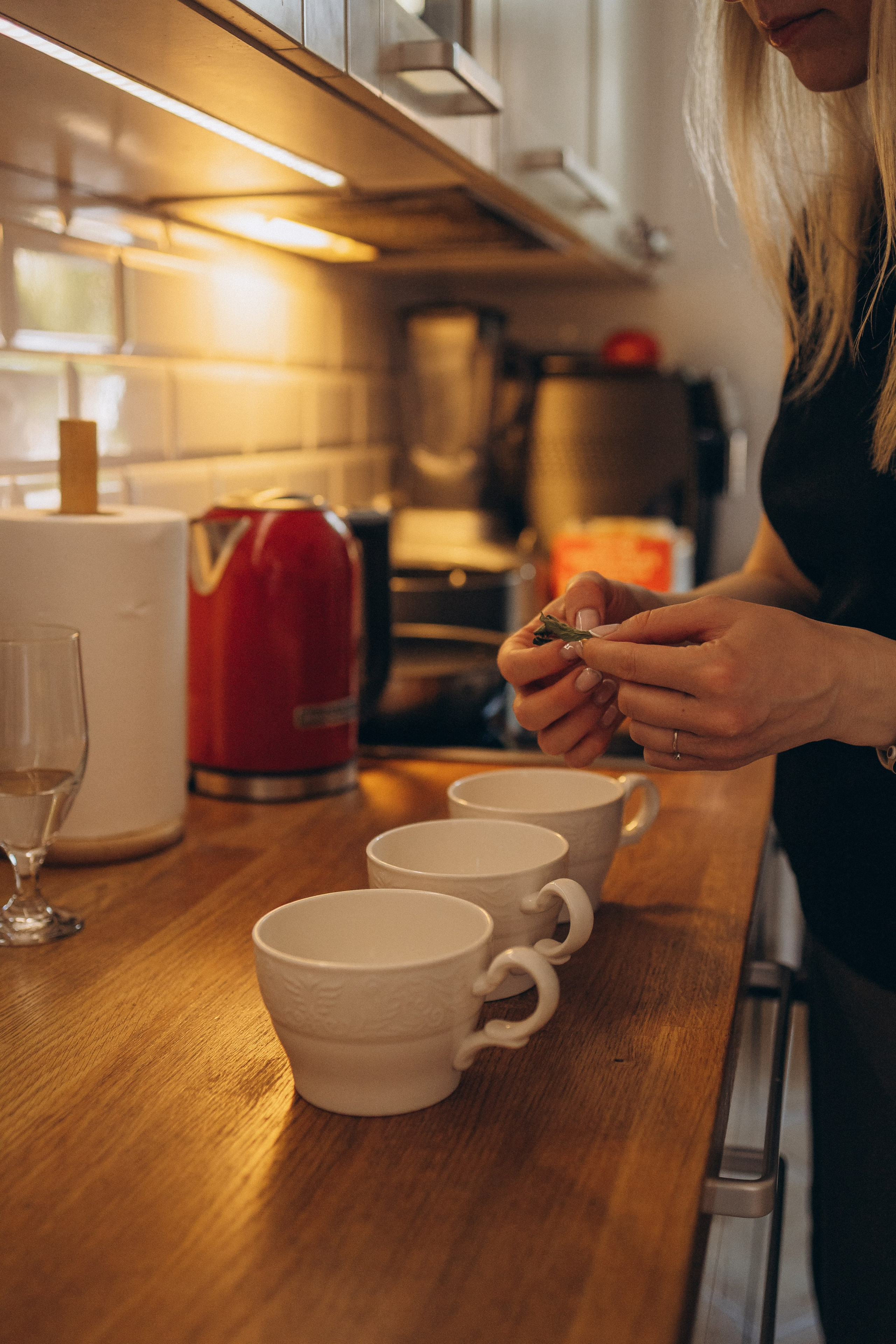 LAURAS ģimene. GALVENĀ