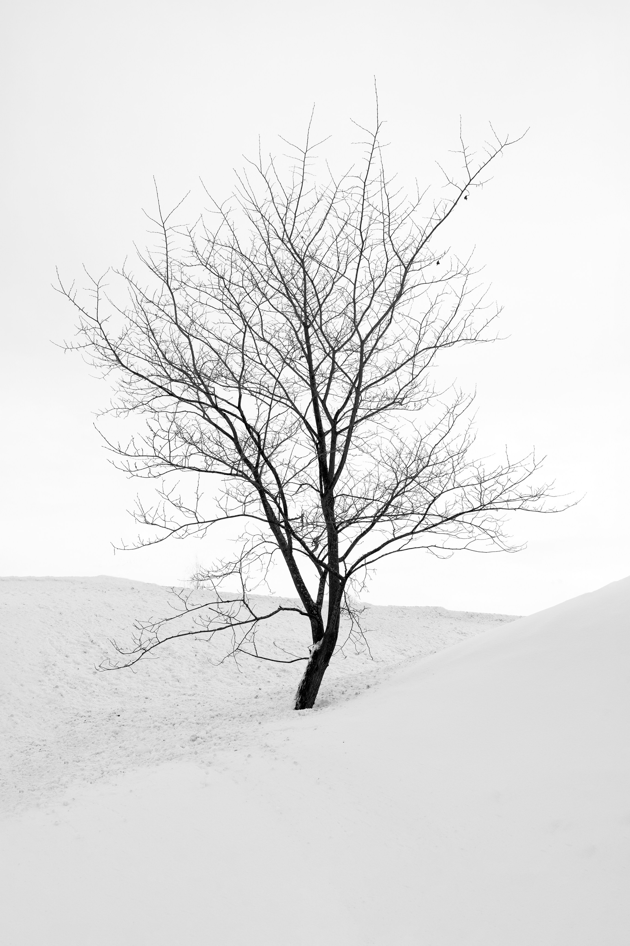 Friends or foes. Maija Bondar Photographer