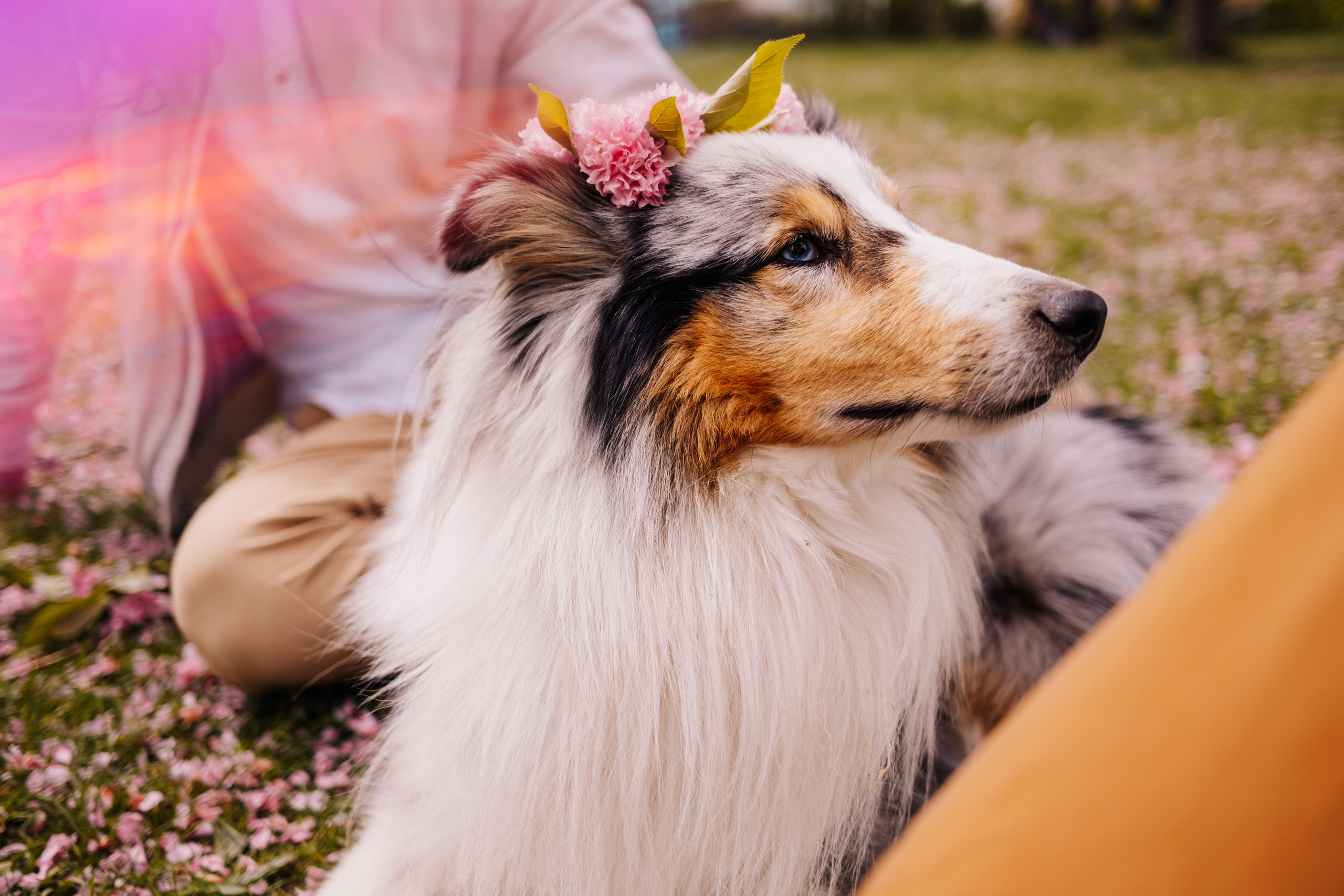 Memories in Bloom. Professional Photographer in Berlin — Portraits, Love Story, Events, F