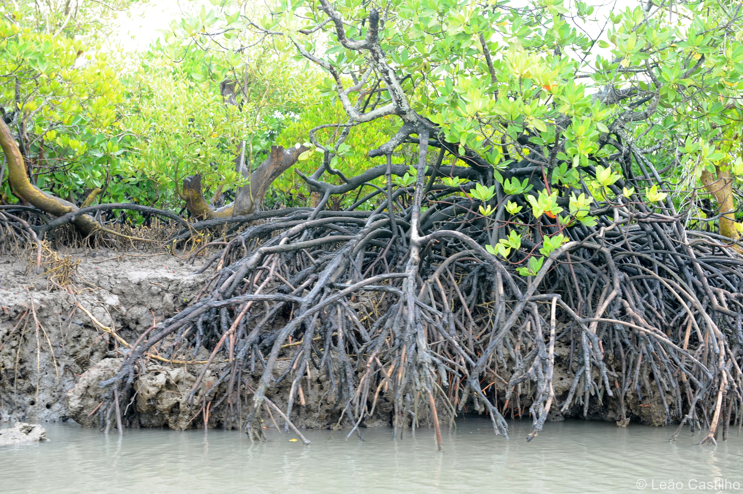 Photos from Mozambique. Simbahalu
