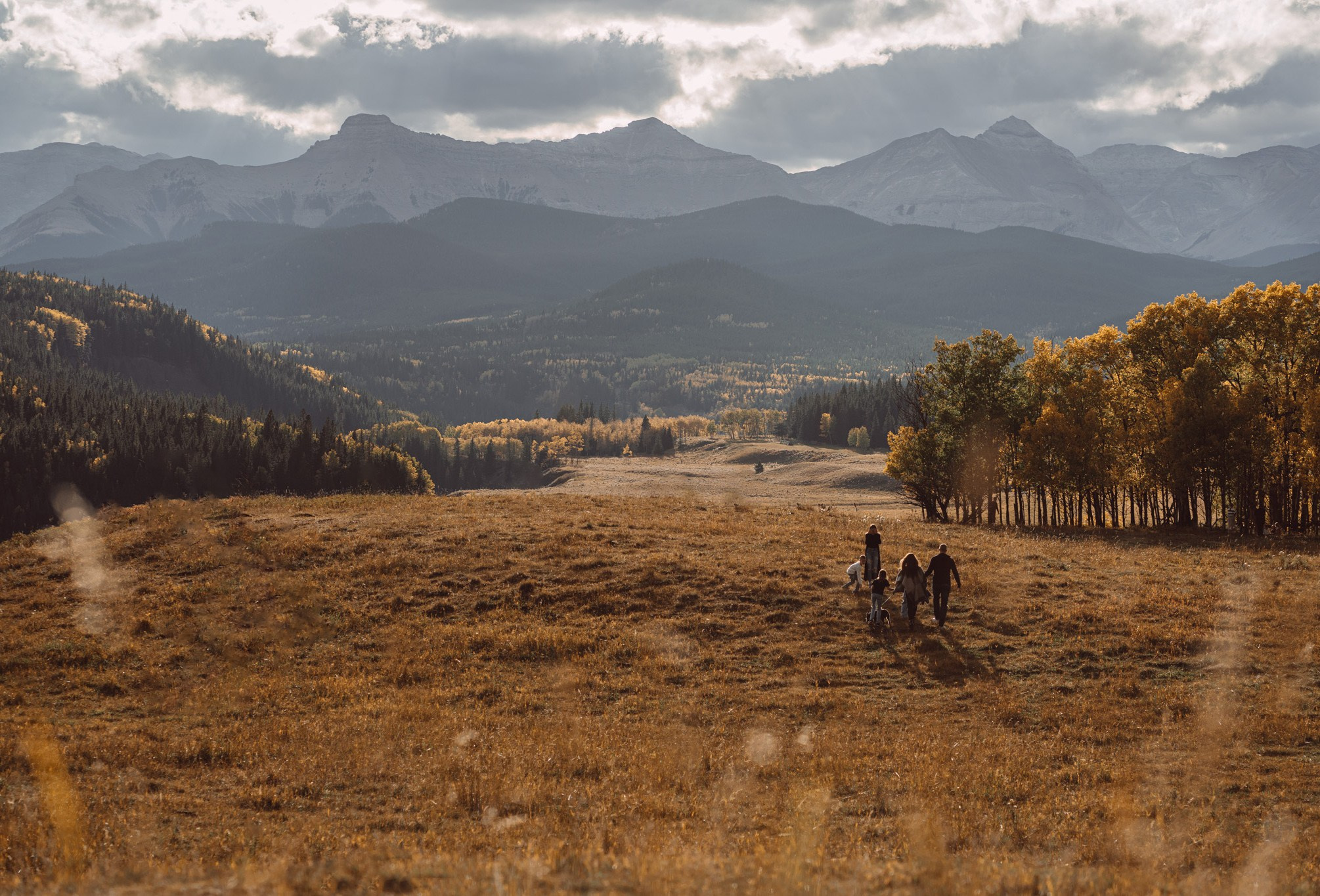 Family. Wedding and family photographer in Calgary Kate Beliaeva