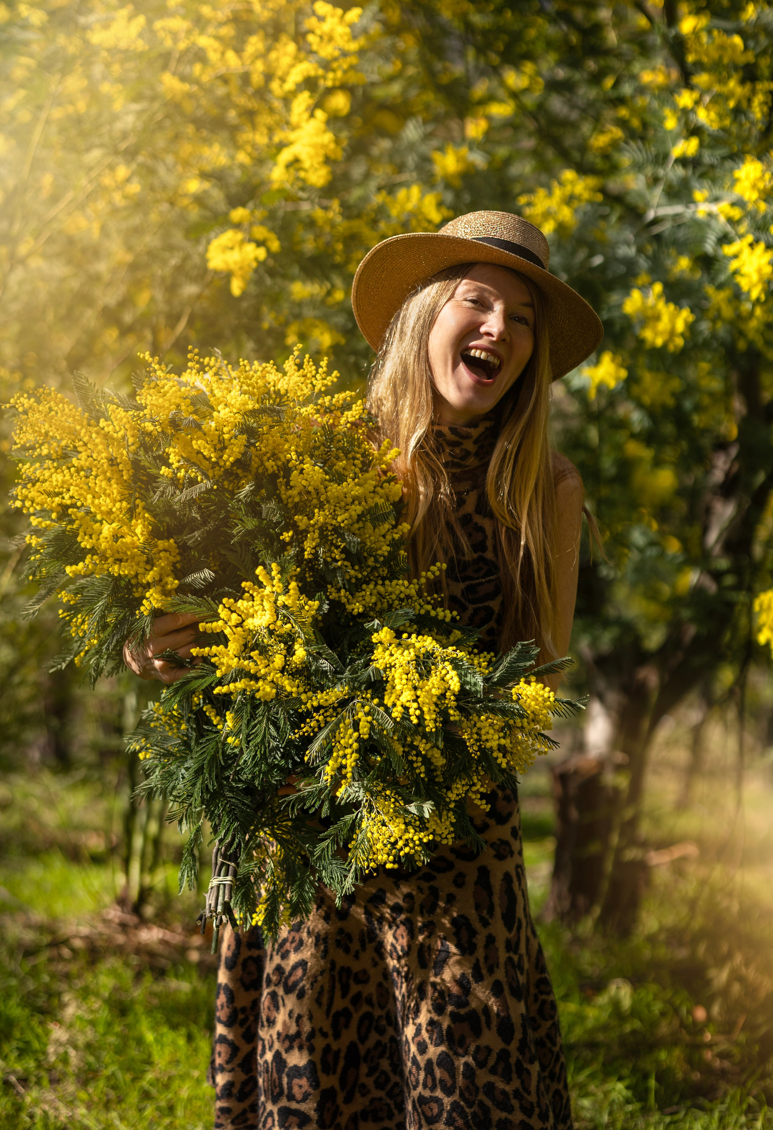 Mimosa. Photographer in Munich
