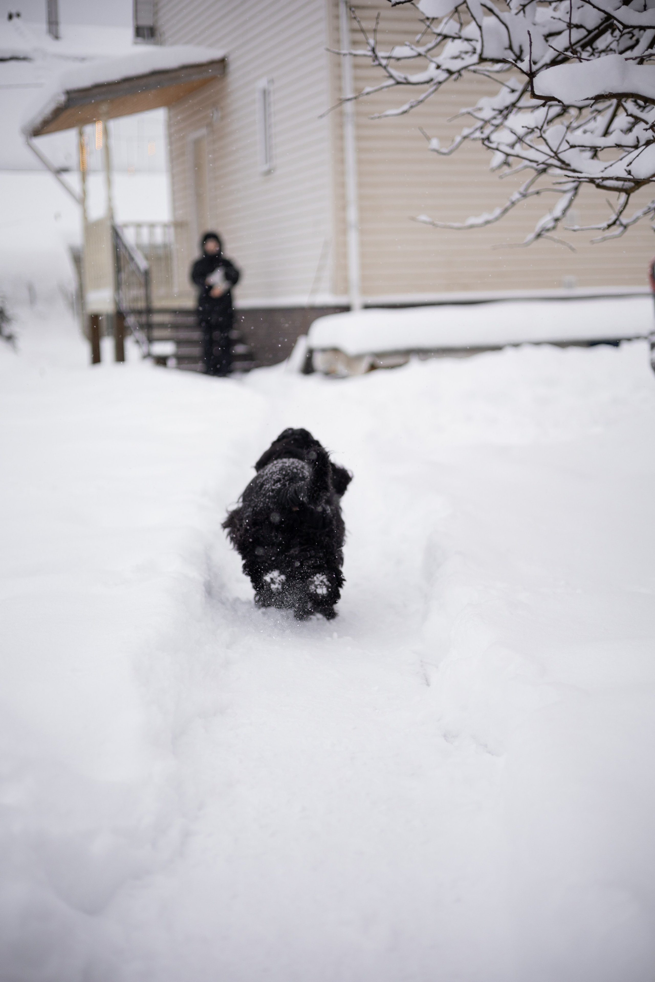 Кейт и Ен. Фотограф-анималист | Белград