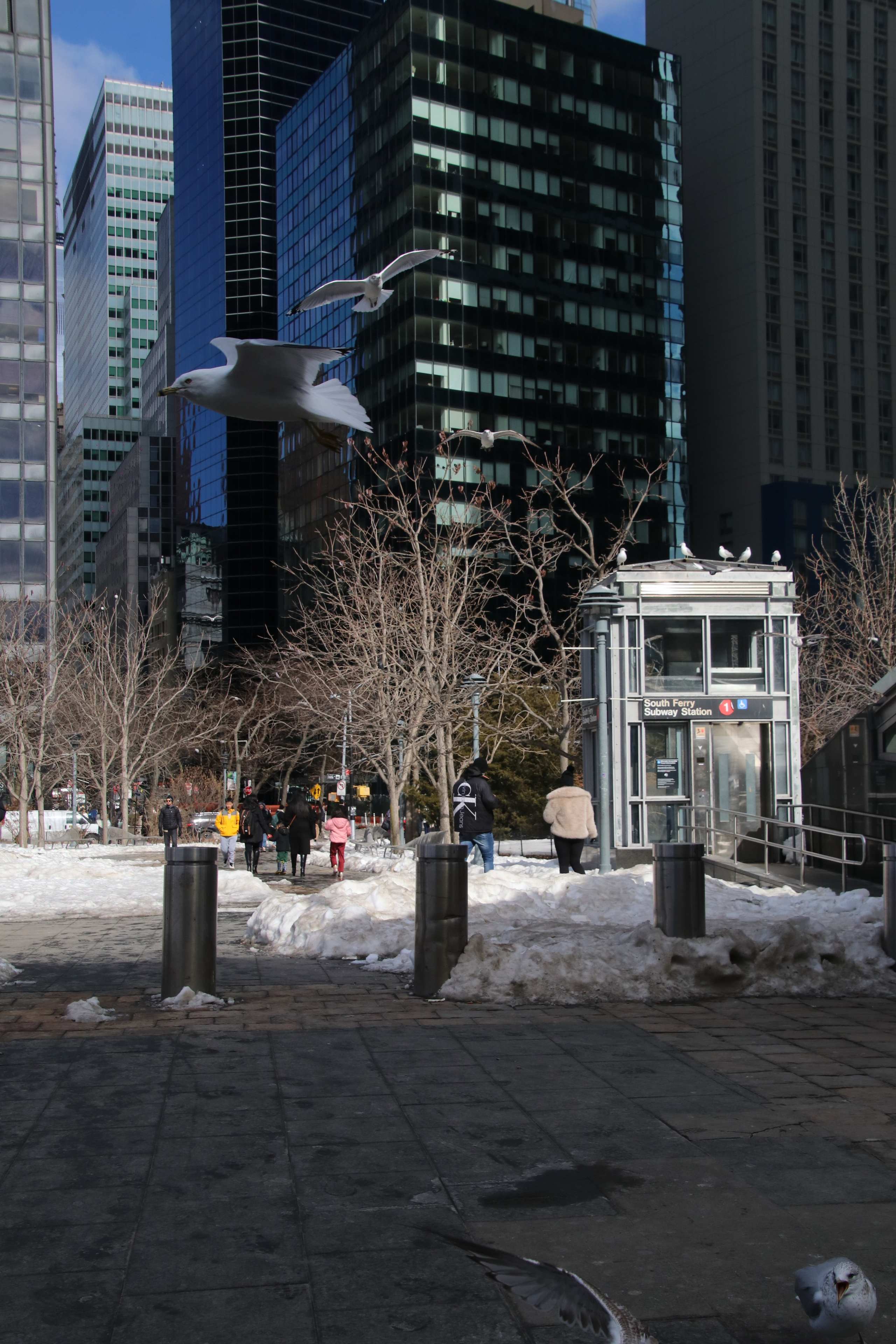 New York 2026. Photographer Marina, city of Nuremberg