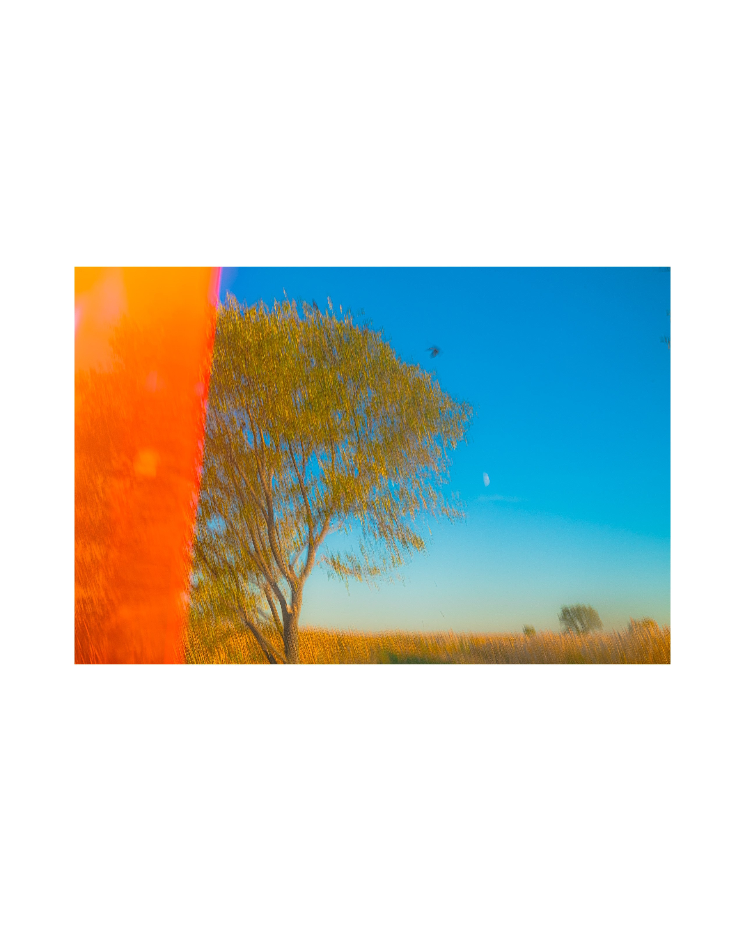 Nature from Exaggerated Worlds. Ekaterina Tsurkina-Appina Photography Canada