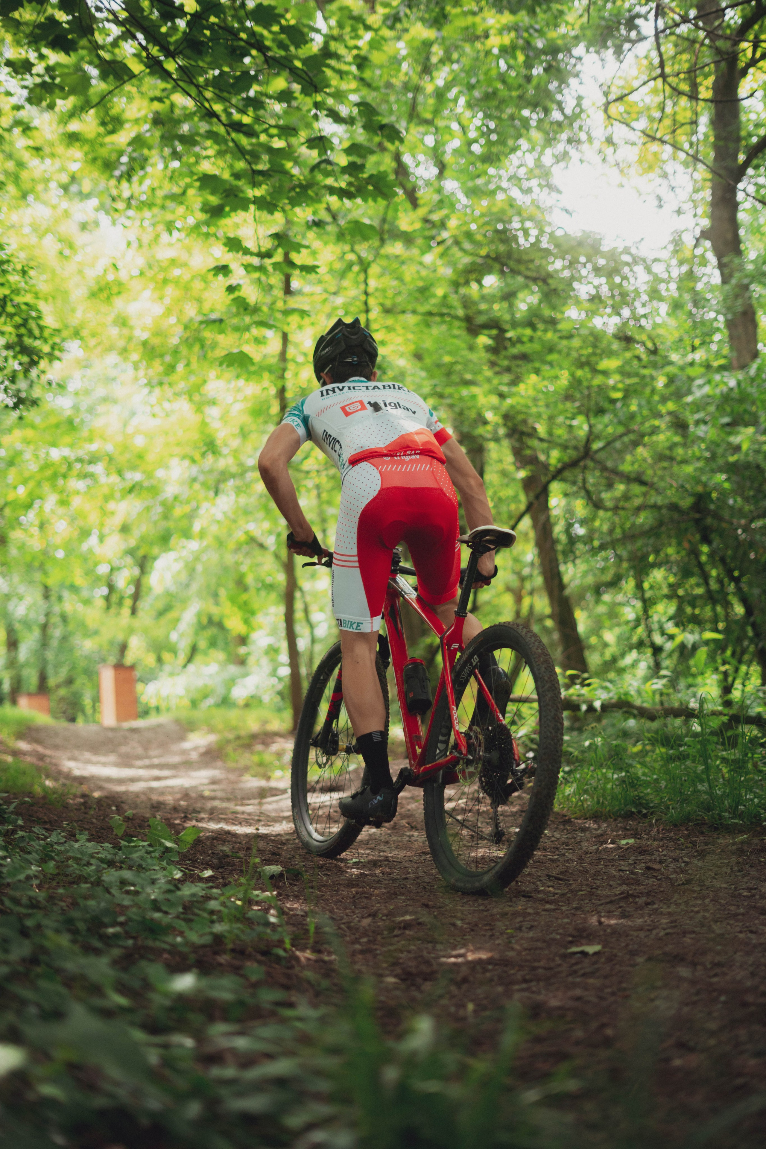 Redbull. Жуков Студио