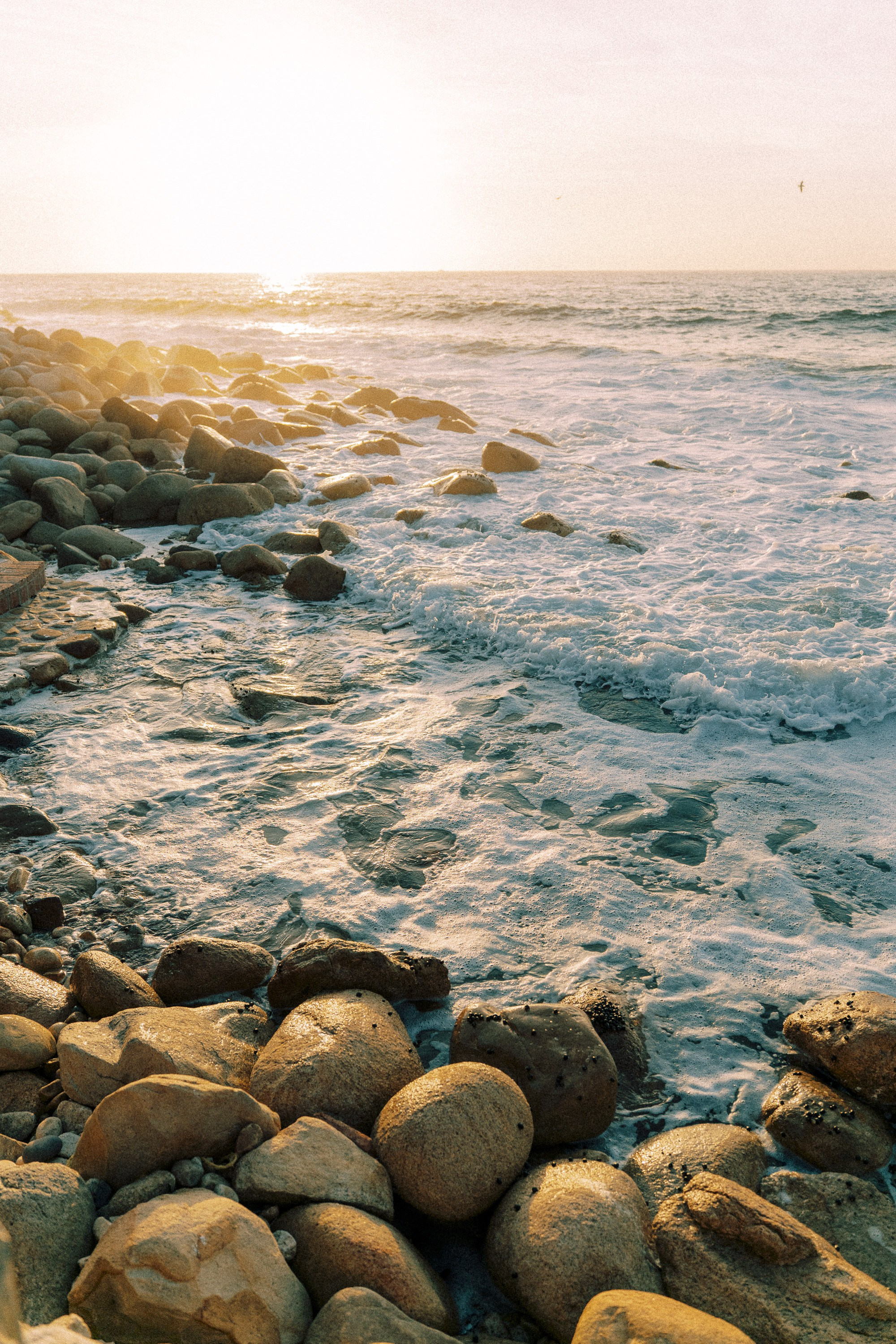 Wedding in Palo Maria. Sayulita Wedding Photographer, Puerto Vallarta, Cabo