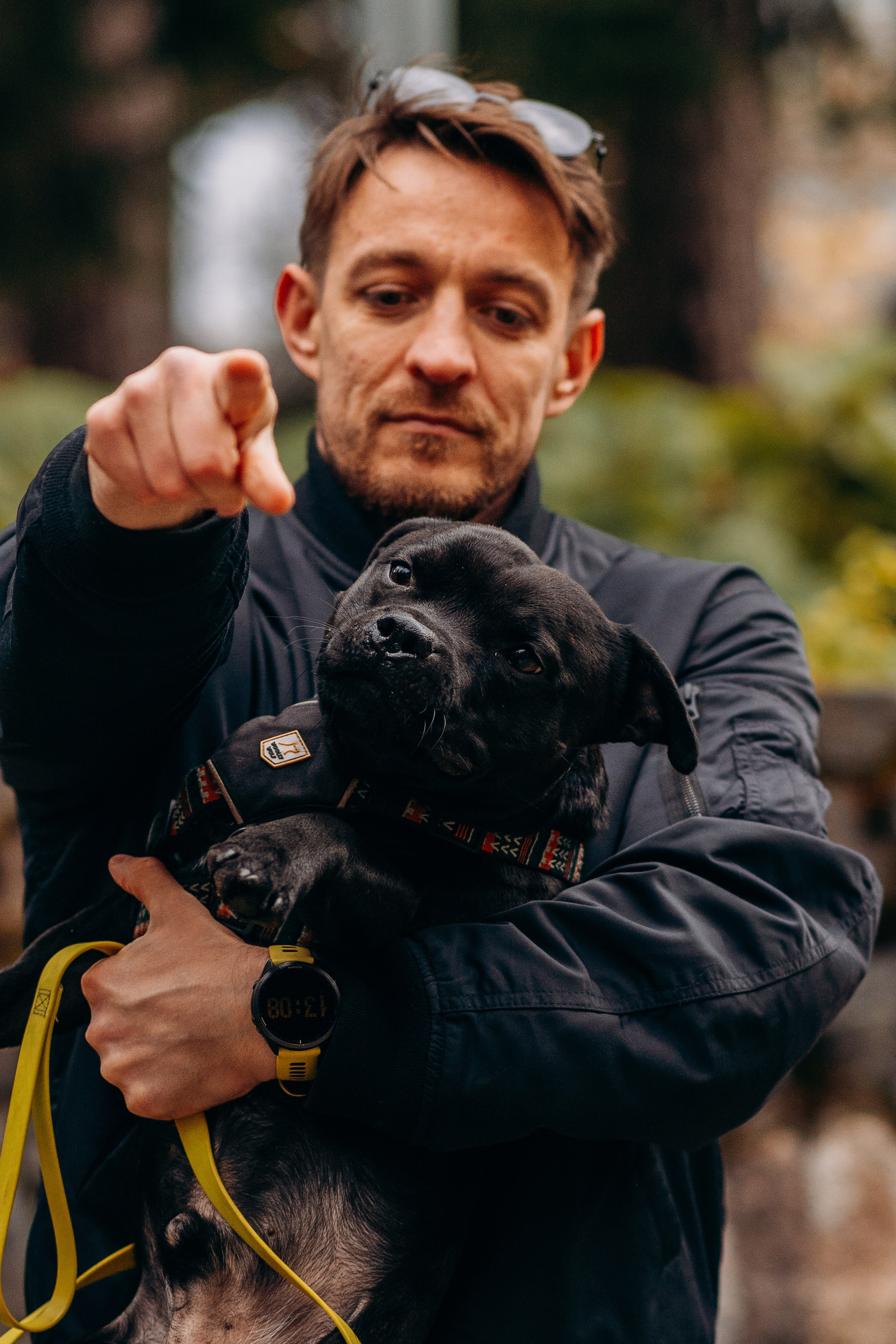 Staffordshire Bull Terriers Meetup. Kat Laisaar — Pet photographer in Tallinn