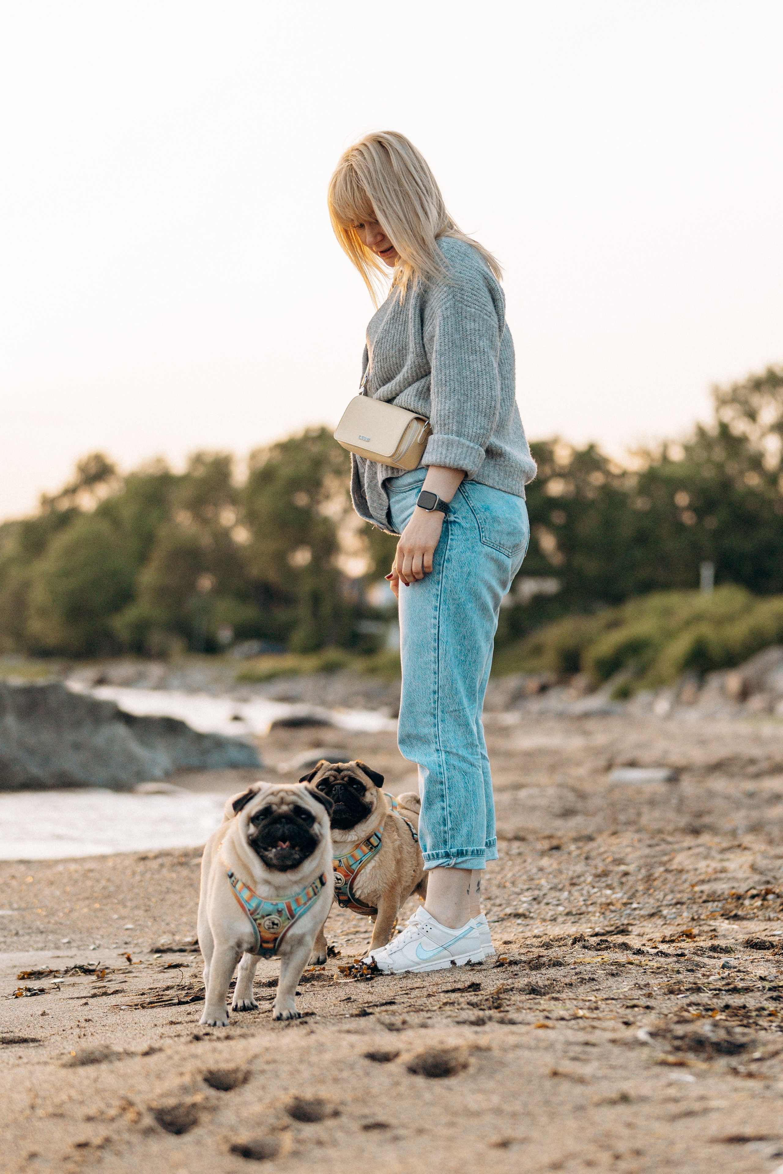 Frank, Tony, Katerina & Lev. Kat Laisaar — Pet photographer in Tallinn