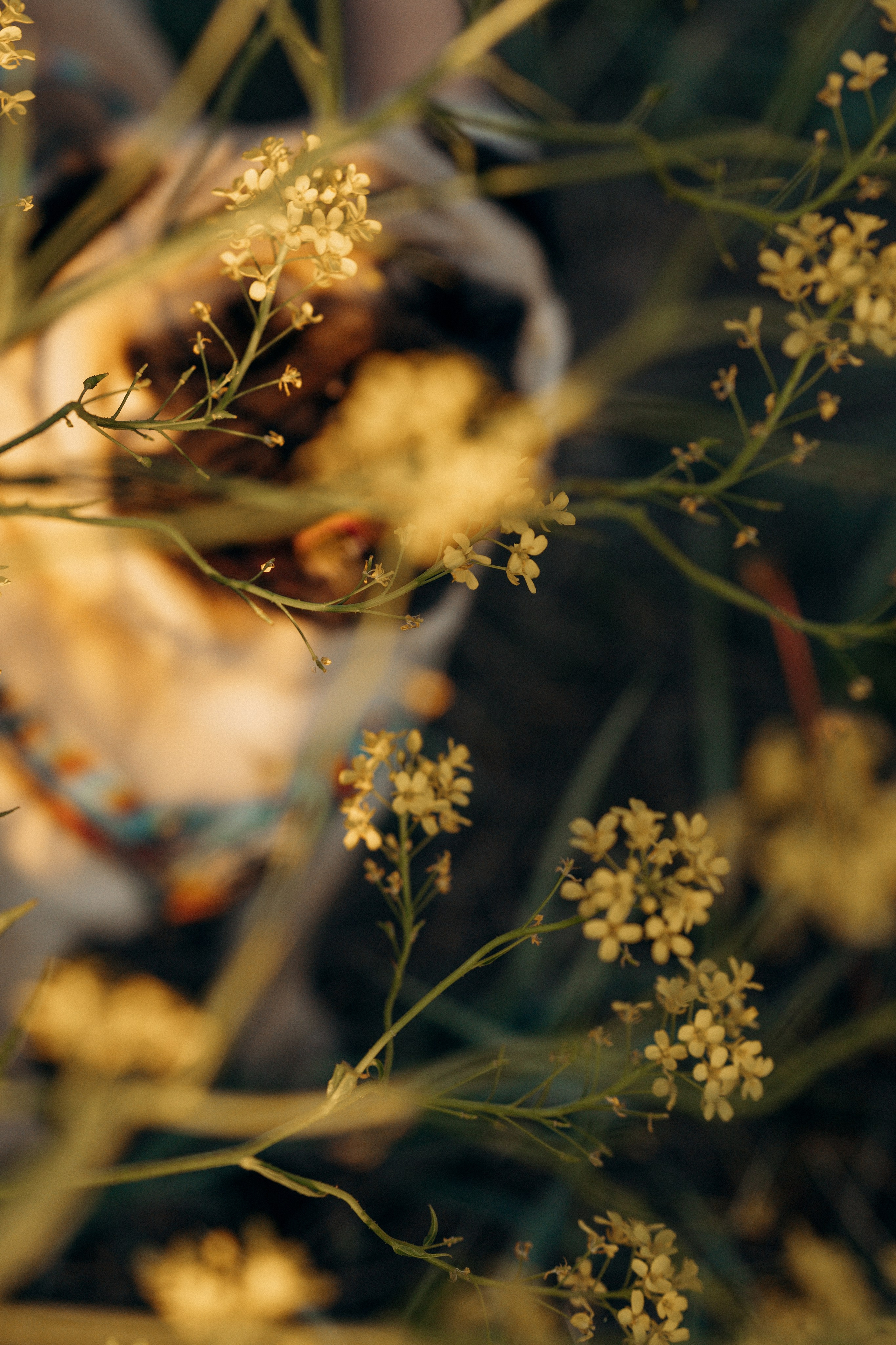 Frank, Tony, Katerina & Lev. Kat Laisaar — Pet photographer in Tallinn