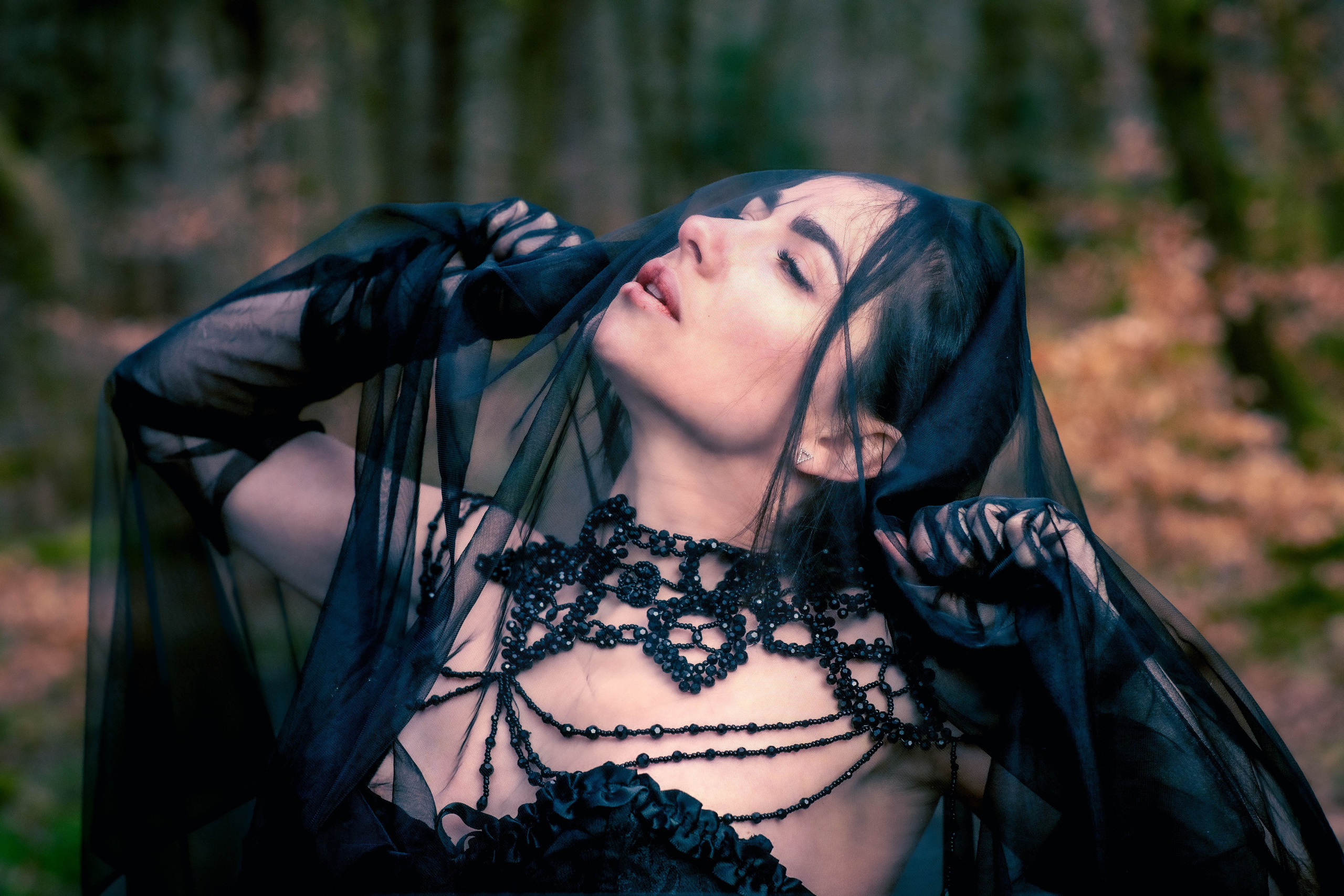 Purple lomography. Anna Mavka Photographer