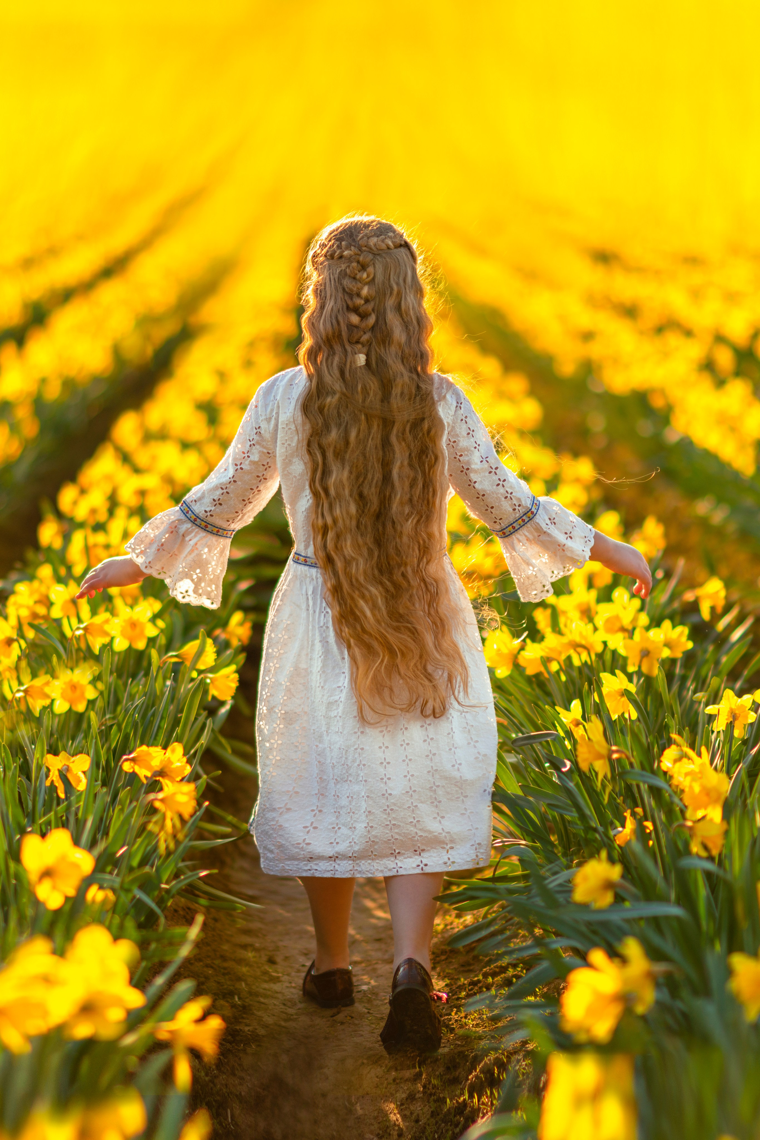 Daffodils. Wedding & portrait photography in the Seattle Area. Helen Michelle photographer