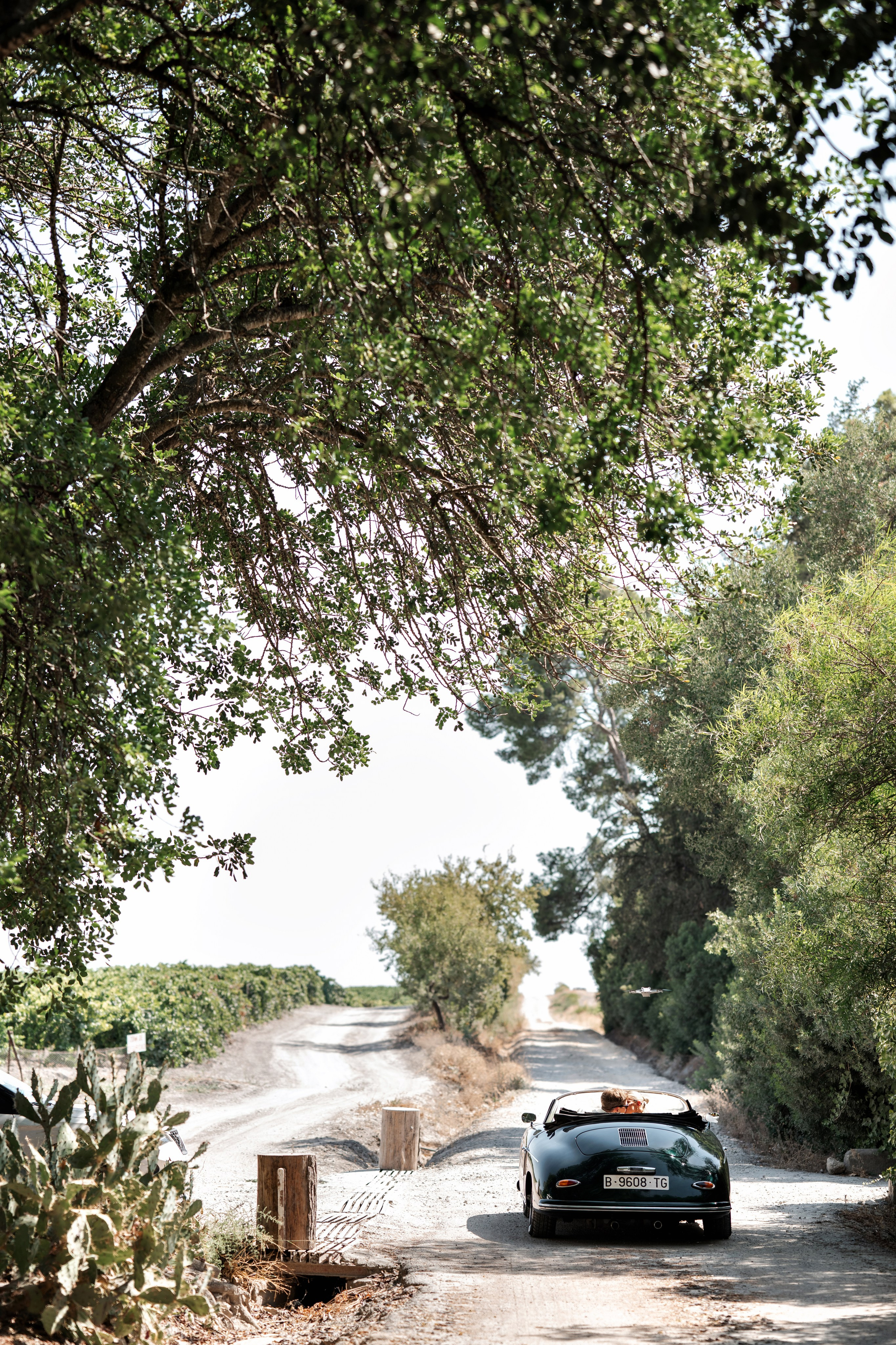 LILLIAN & ALEXANDER. Bryllupsfotograf i hele Norge