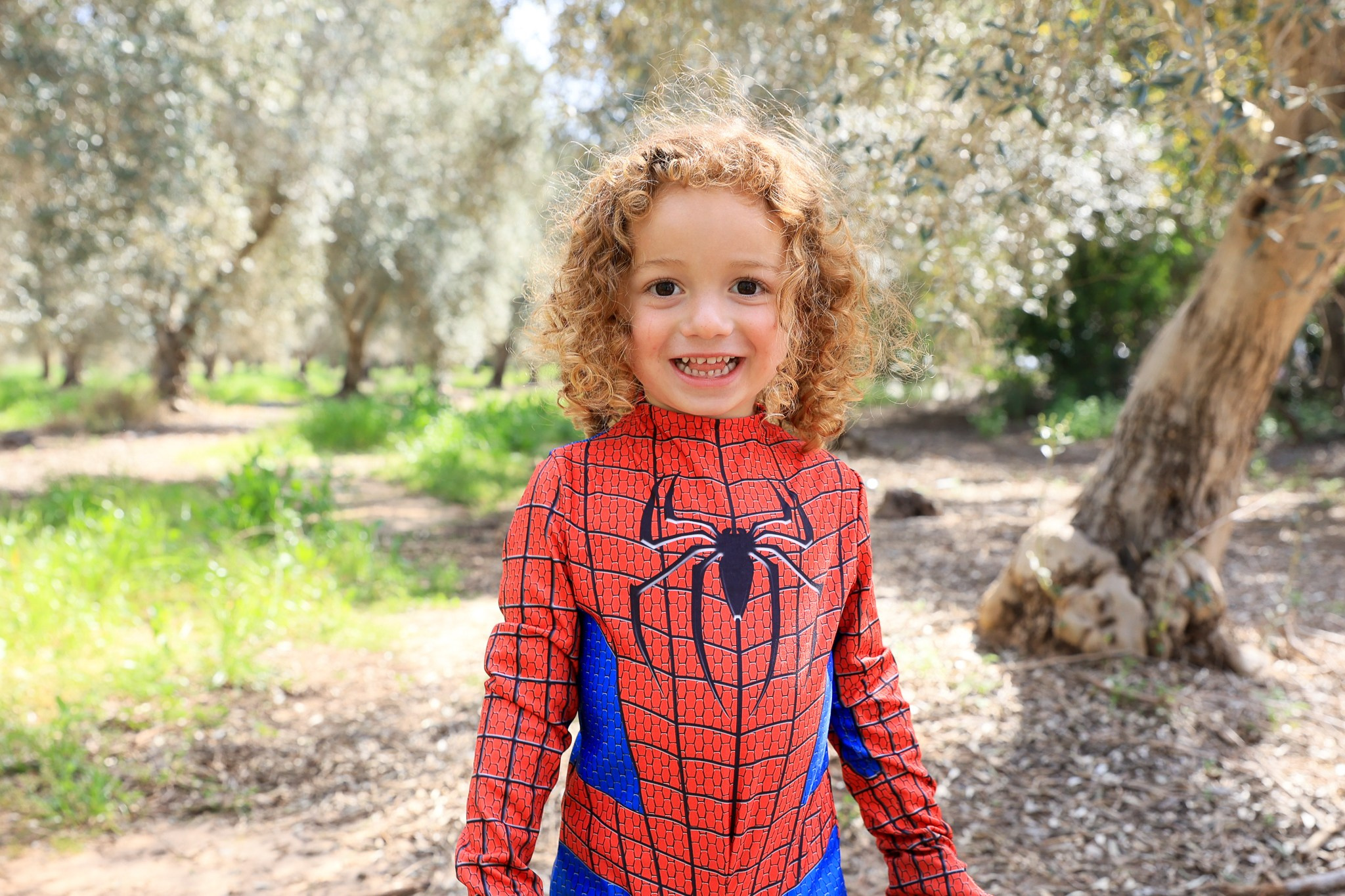 צילומי פורים בטבע. דף בית