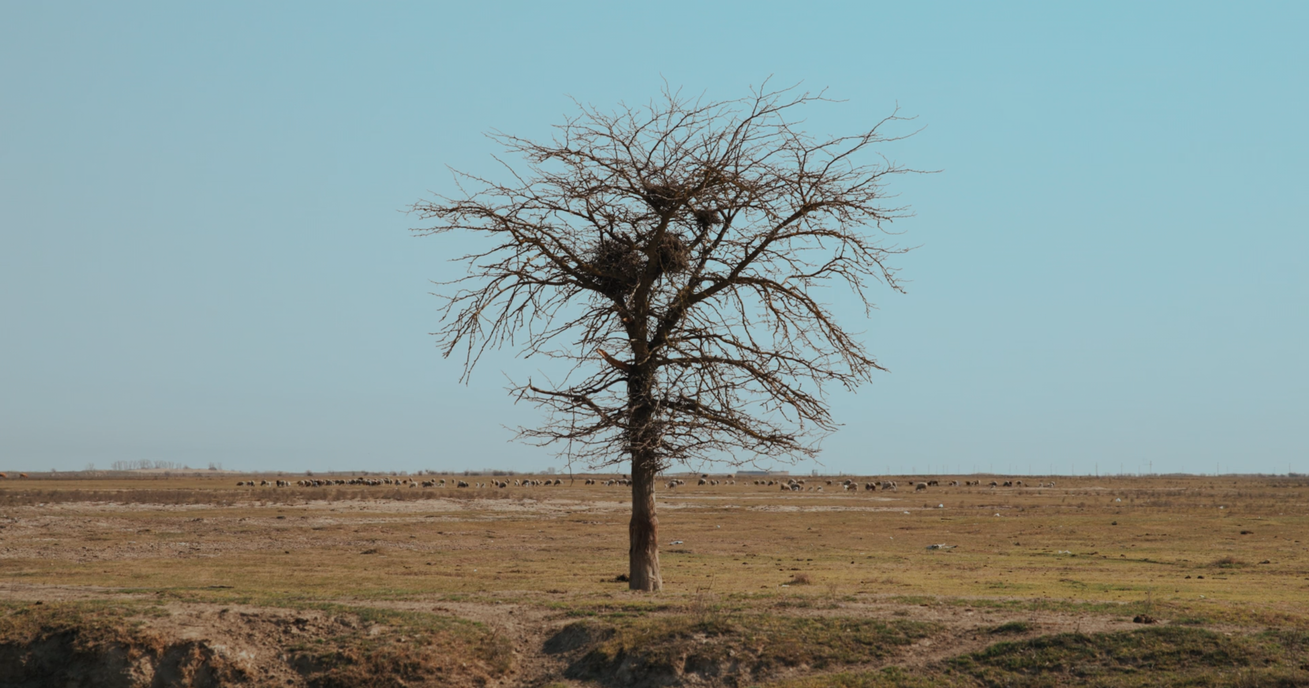 Against the Wind | Documentary. Ilia Ivanov