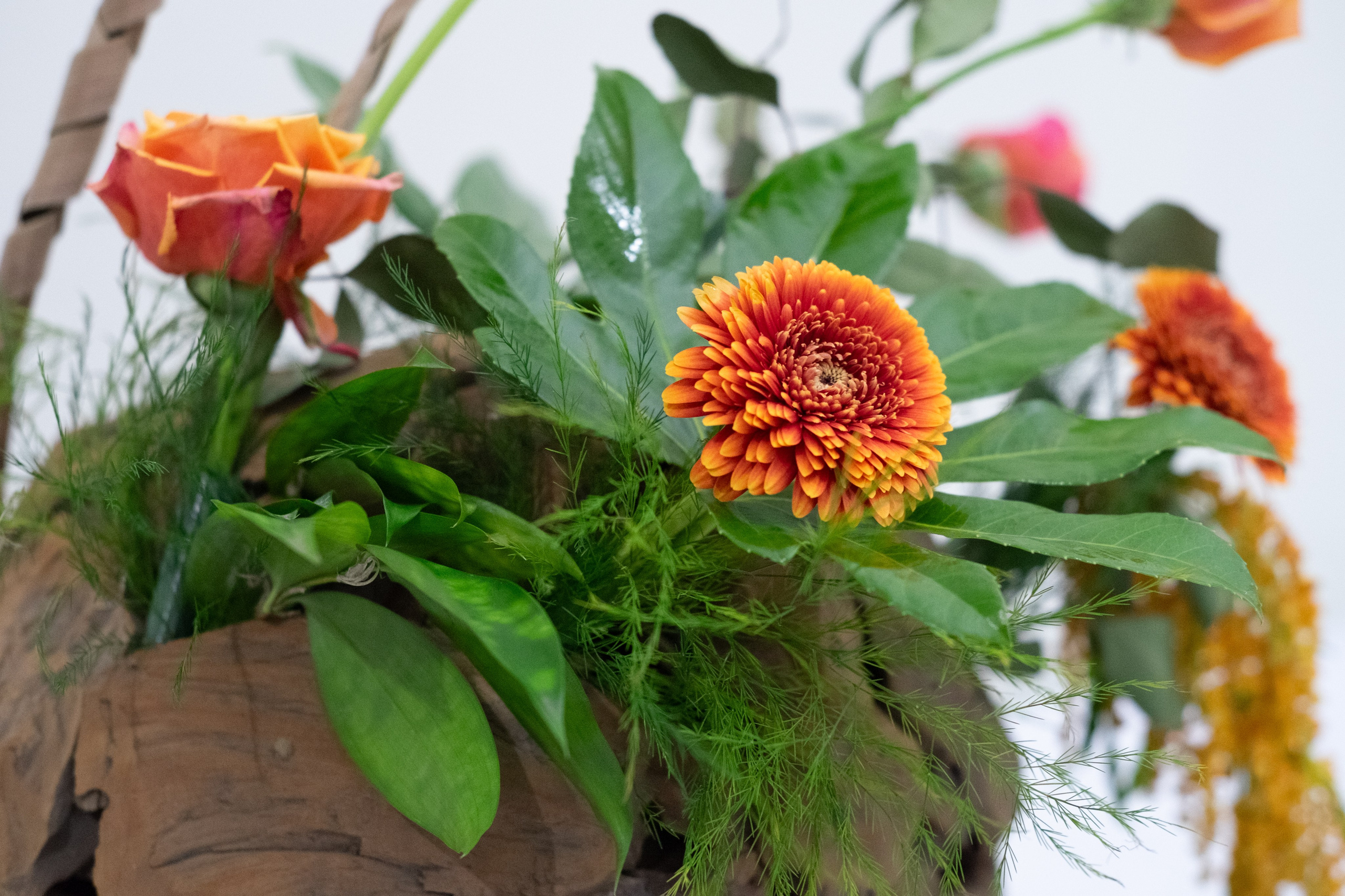 IPBI Surabaya — Product Shoot. Aro Salaka Event Photography