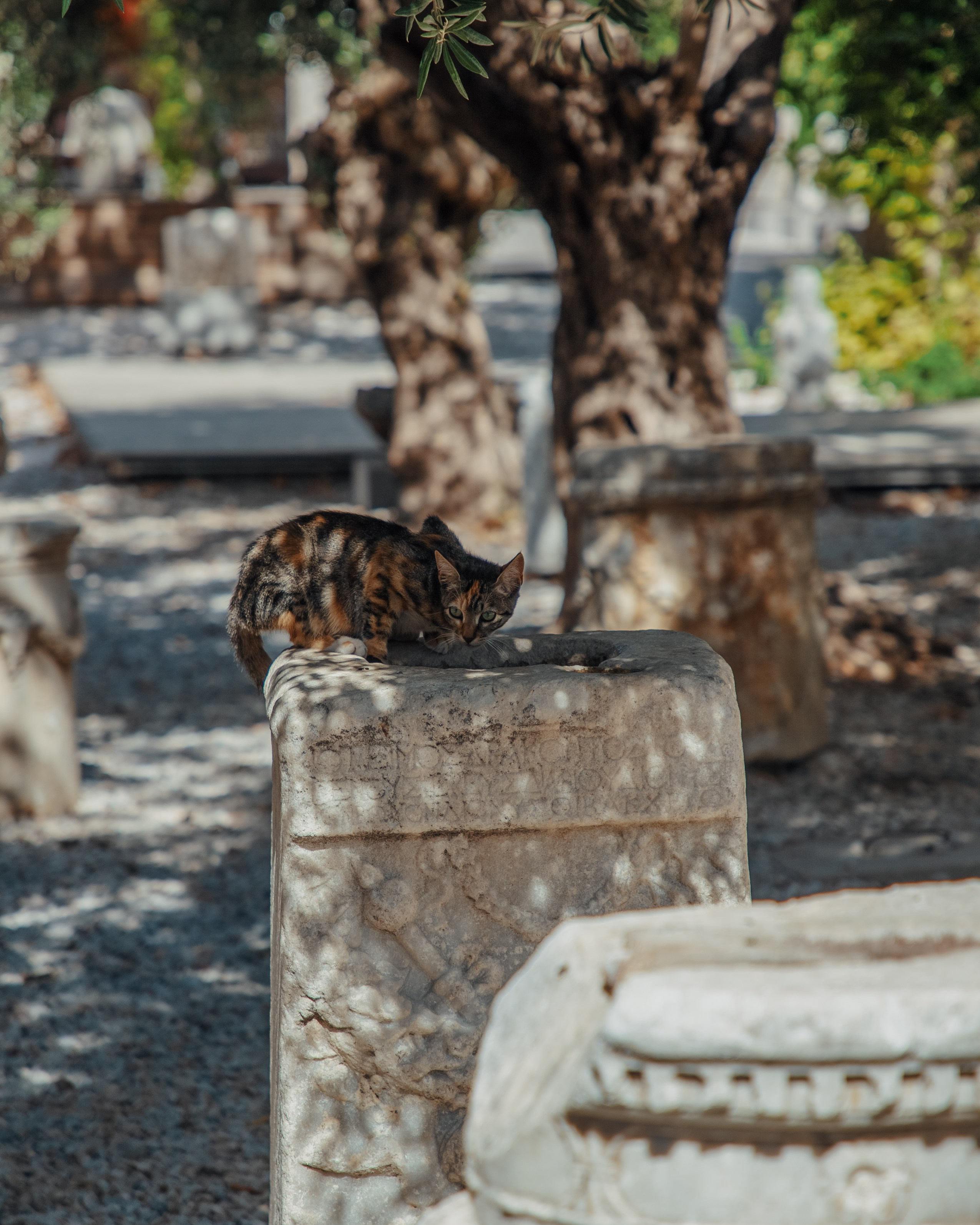 Travel & Street. Mario Jelikic Photography