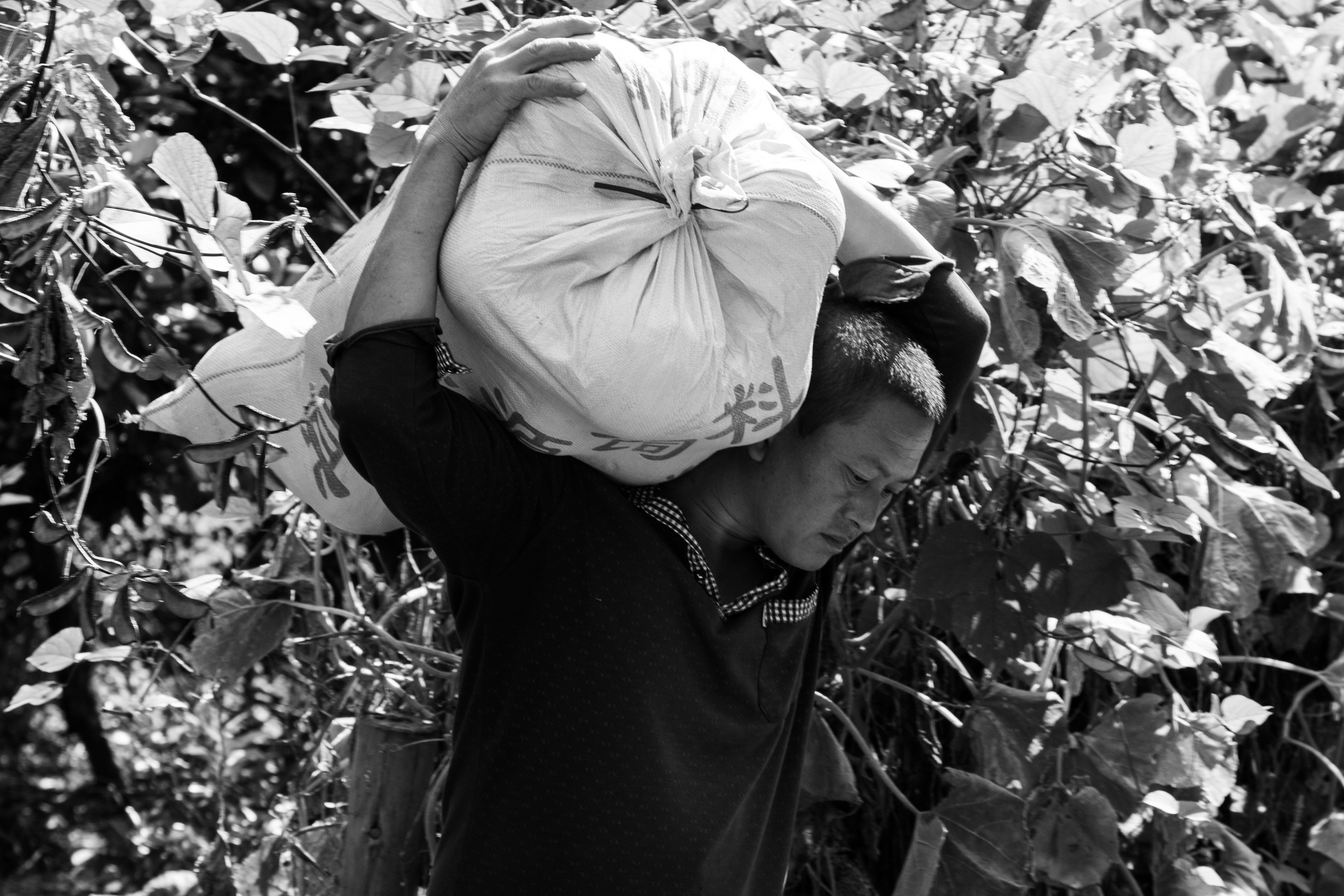 China. Natalia Roshchenko, Photographer in Brussels, Belgium