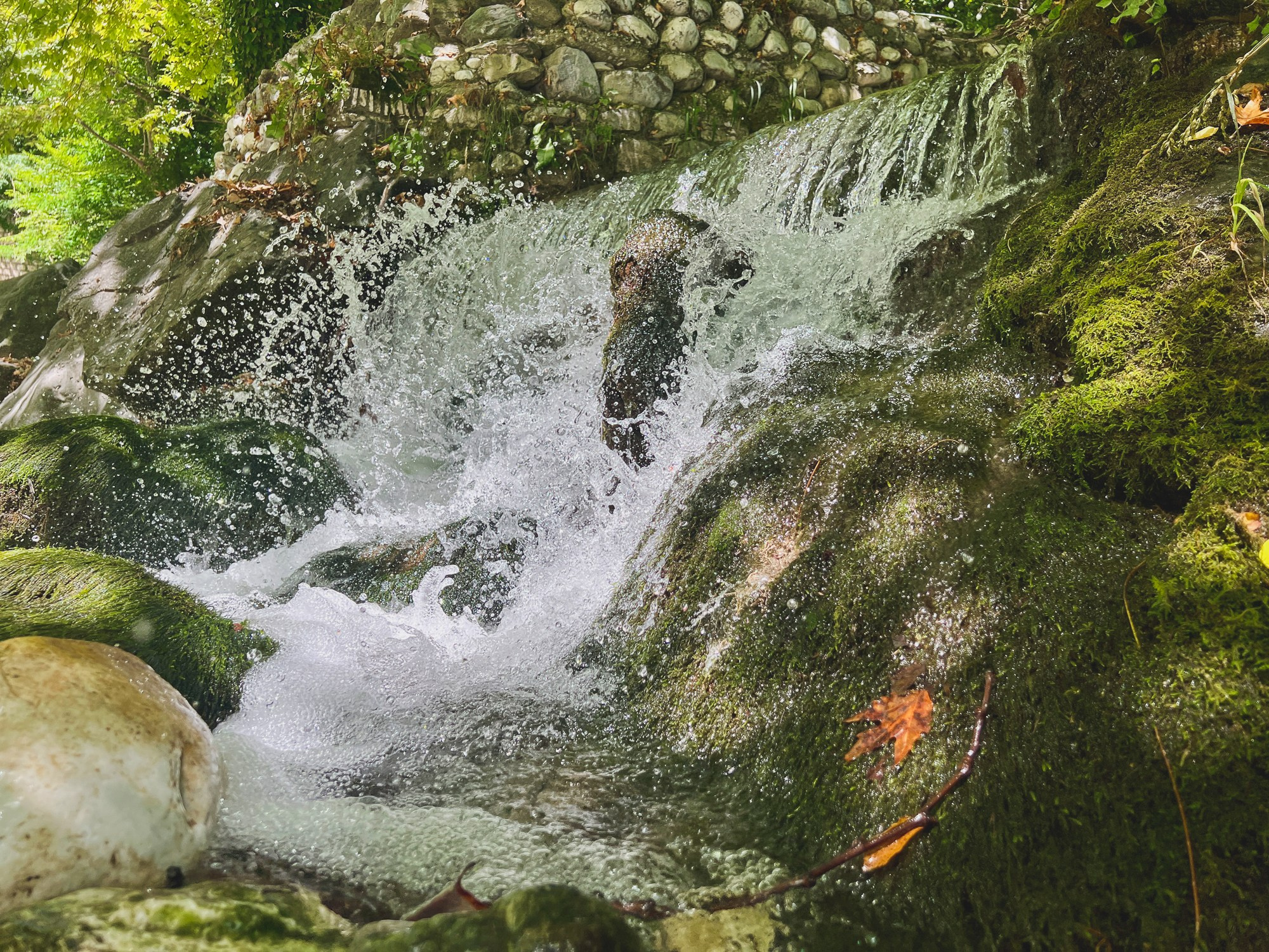 Peisaj /natura. Daniel Criste Fotograf