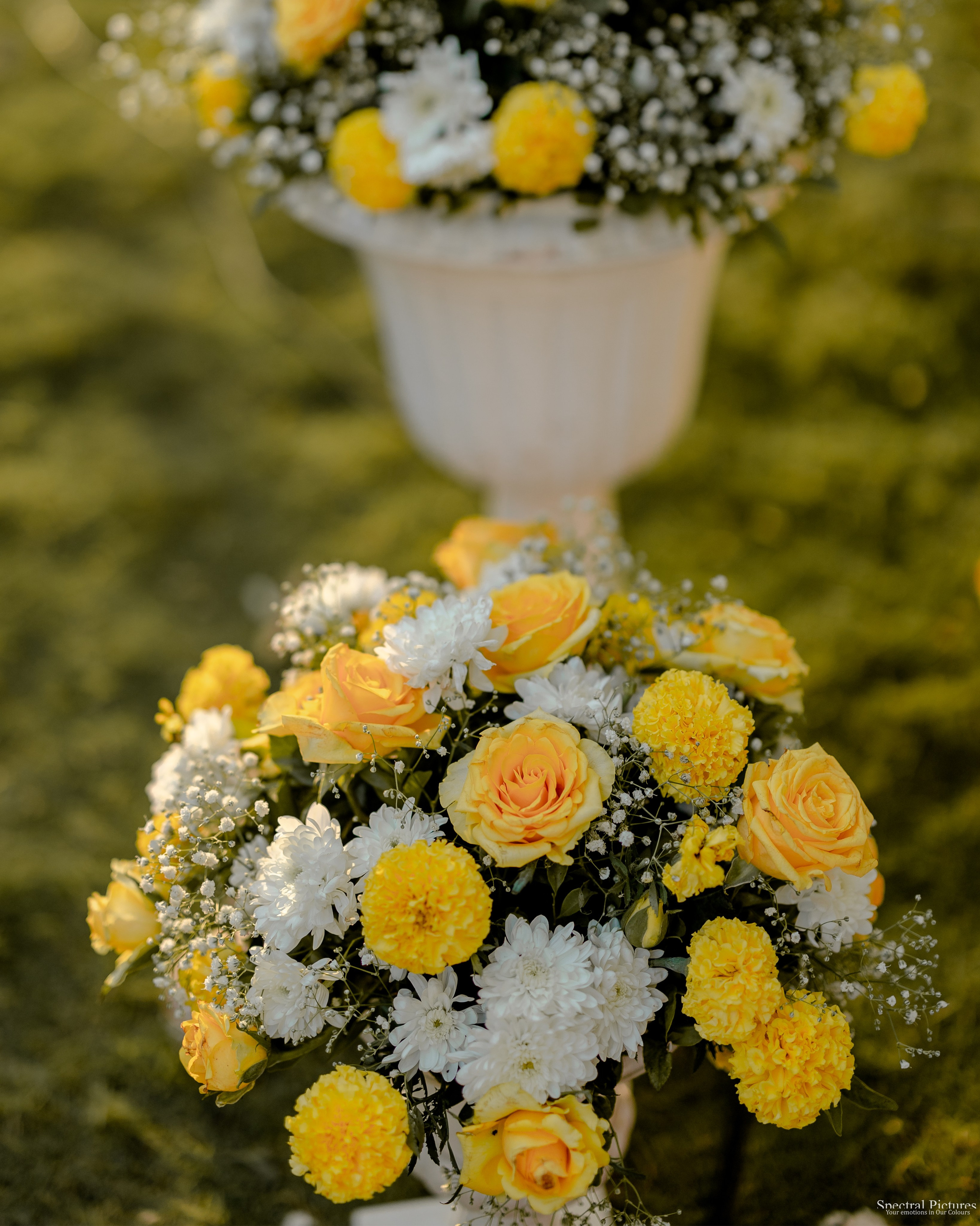 “Shivani & Ashish | A Love Meant to Be”