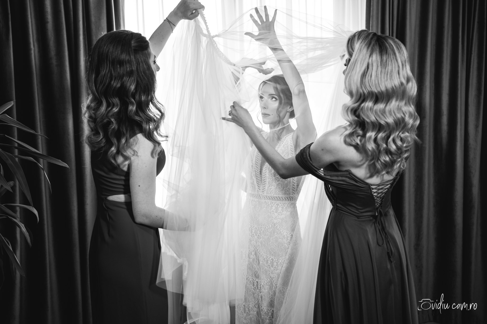 Nunta. Fotograf de Nunta