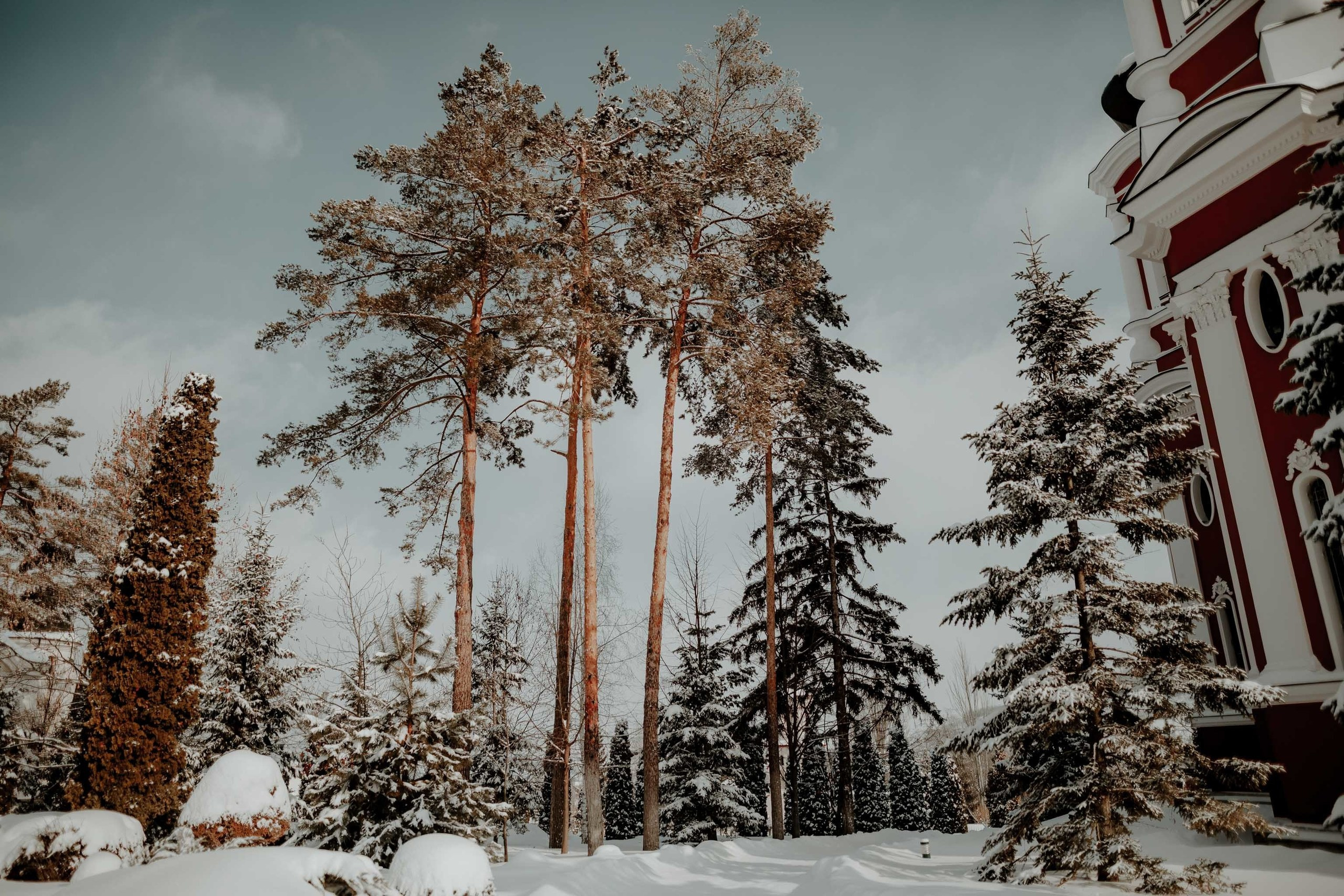 Dragoste în contrast -Moldova-. Servicii Foto Video în Chișinău și Europa ID-Brothers