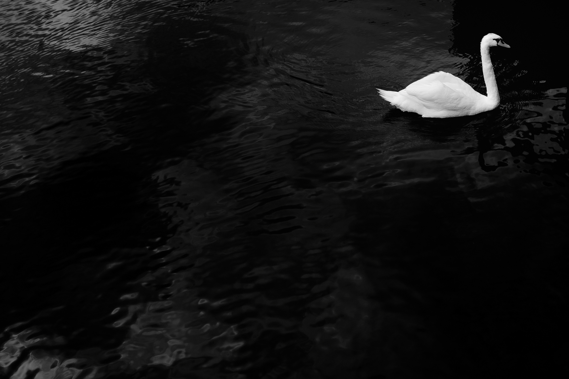 Land of love -Austria-. Servicii Foto Video în Chișinău și Europa ID-Brothers