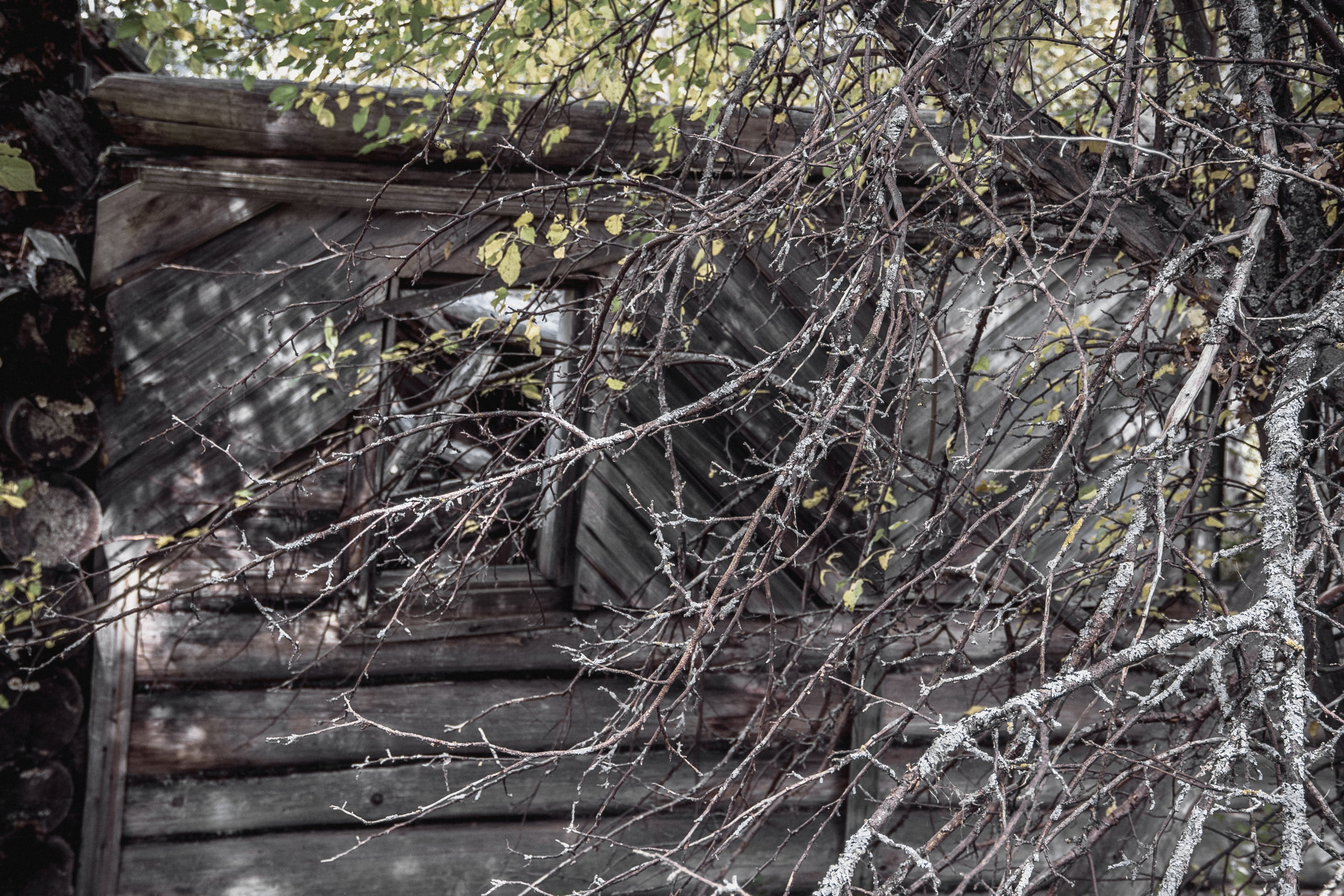 Verlassenes Russland: Manturowo im Gebiet Kostroma. Maria Chistyakovа — Fotografin in Karlsruhe, Baden-Baden und Umgebung