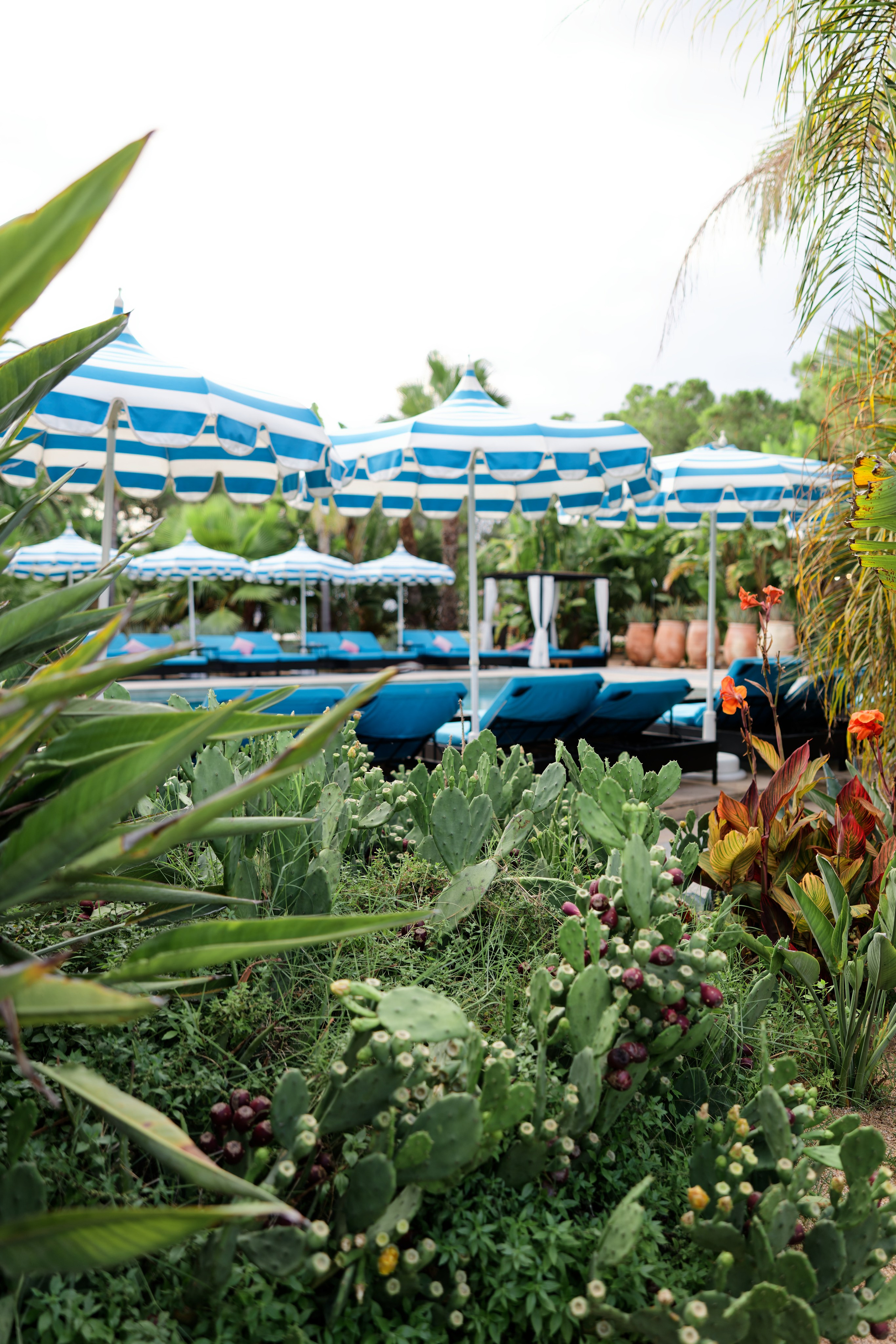 Welcome dinner of Gracie & Joe at Gran Villa Rosa