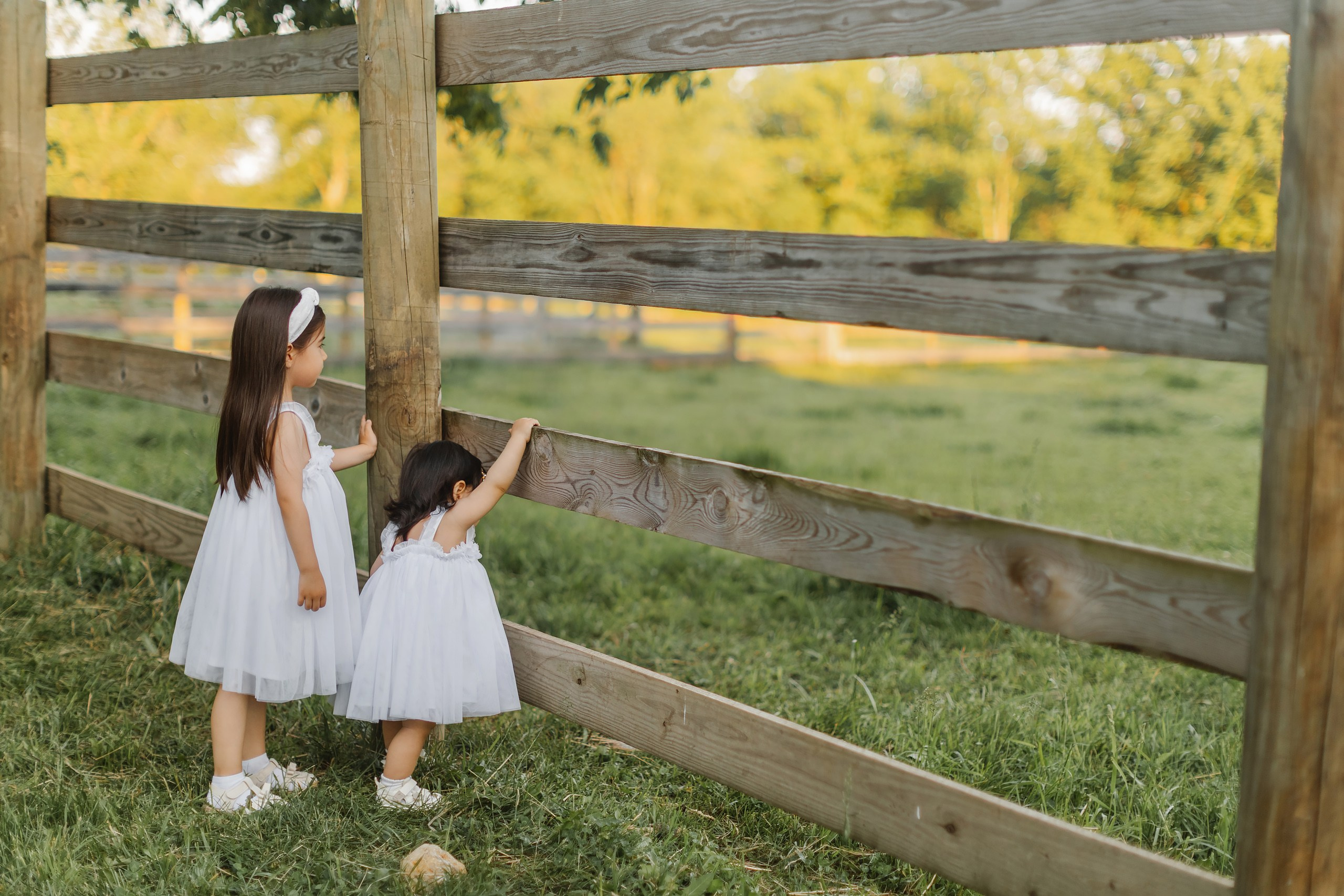 05.25.26 Family Photoshoot. Wedding family event photographer in Chicago Nick Yushevich